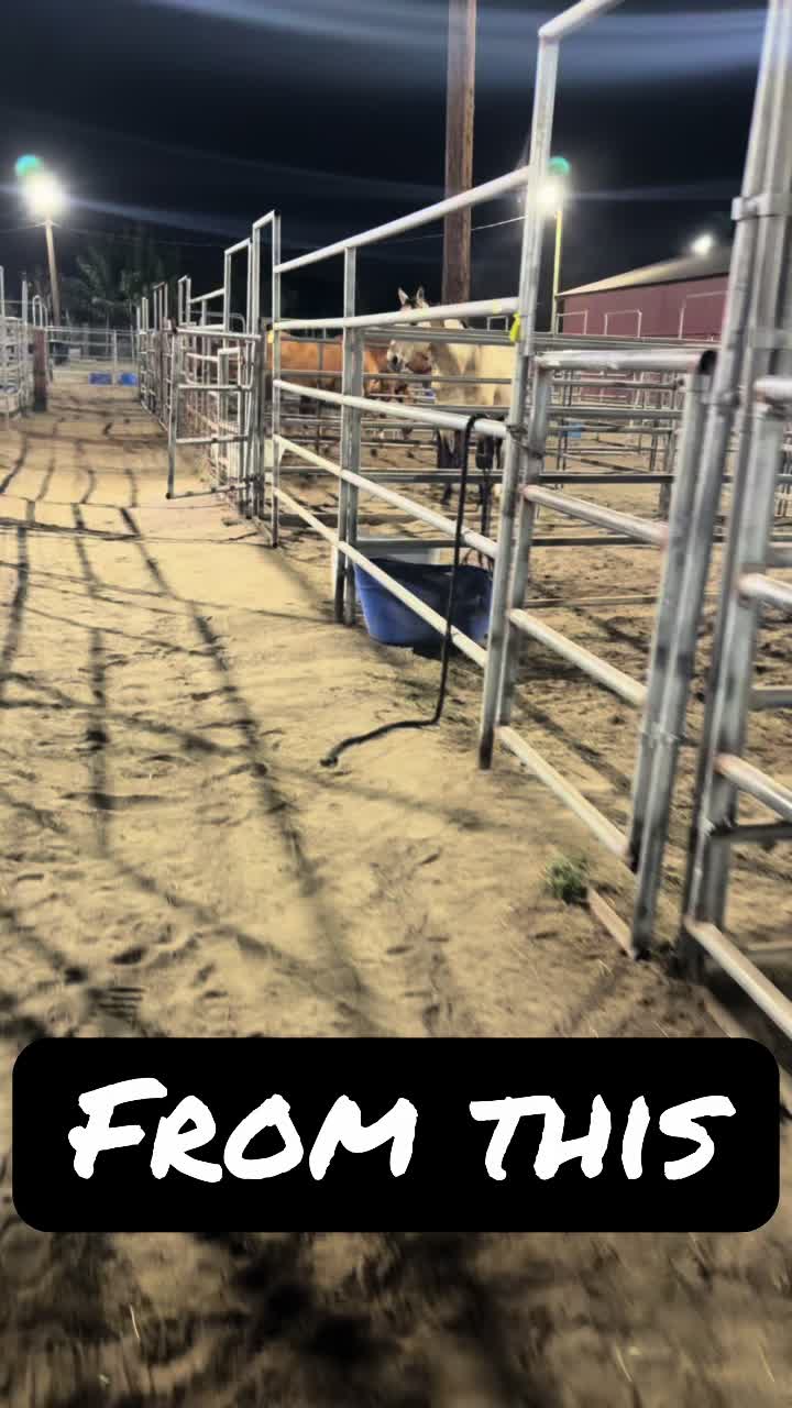 @runswiththeherd