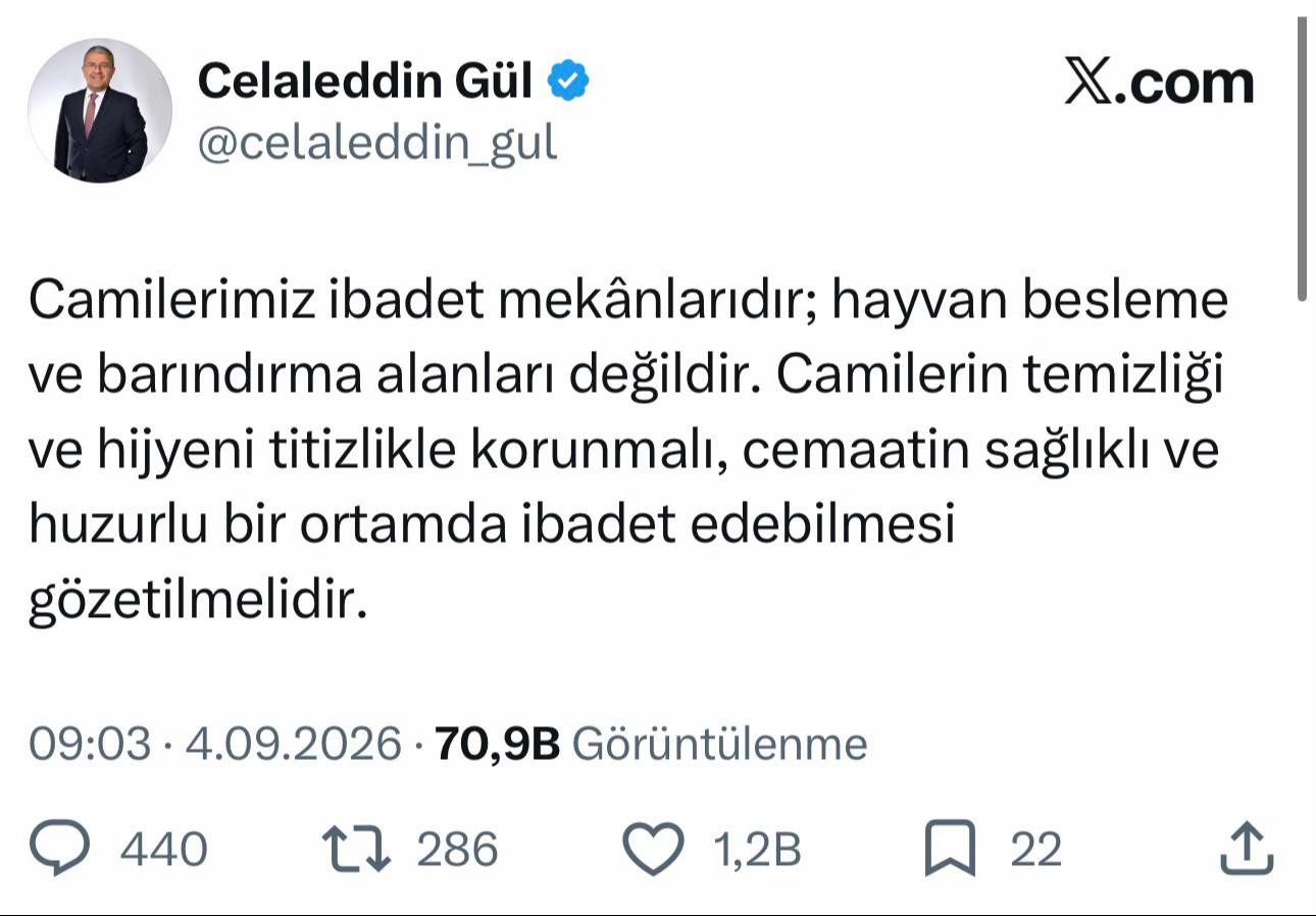 @Nasuh Bektaş