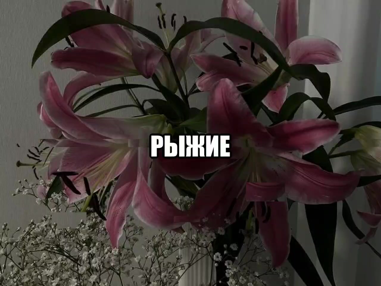@музыка для липсингов