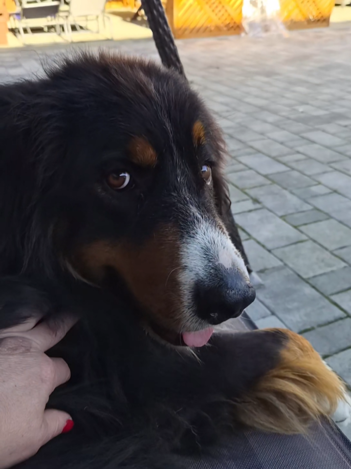 @berner.bruno