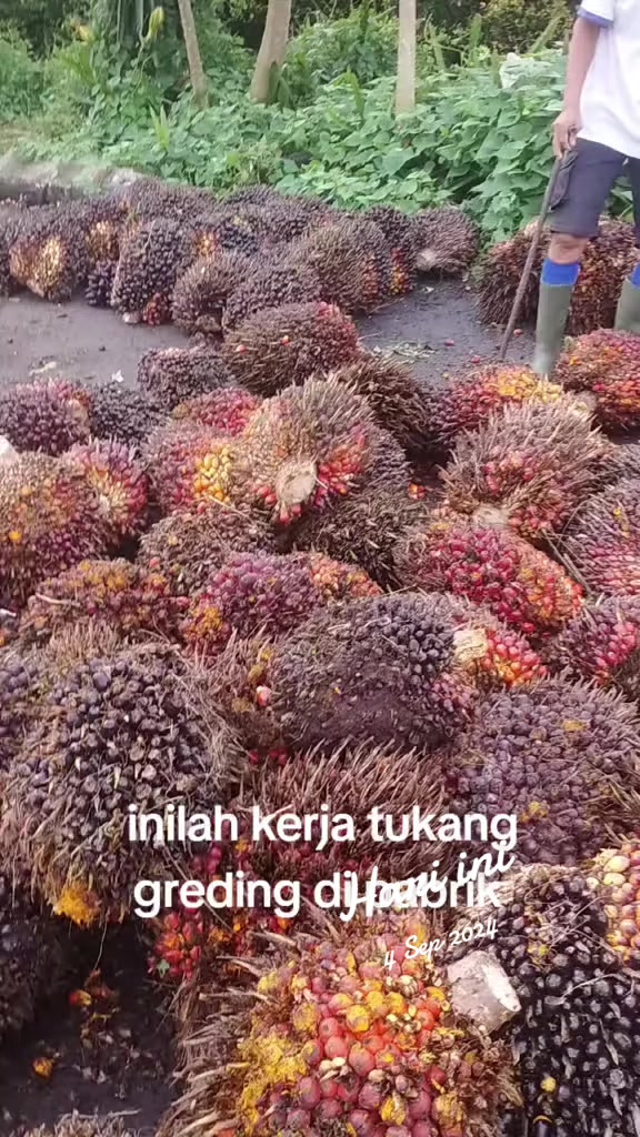@kafidudin86