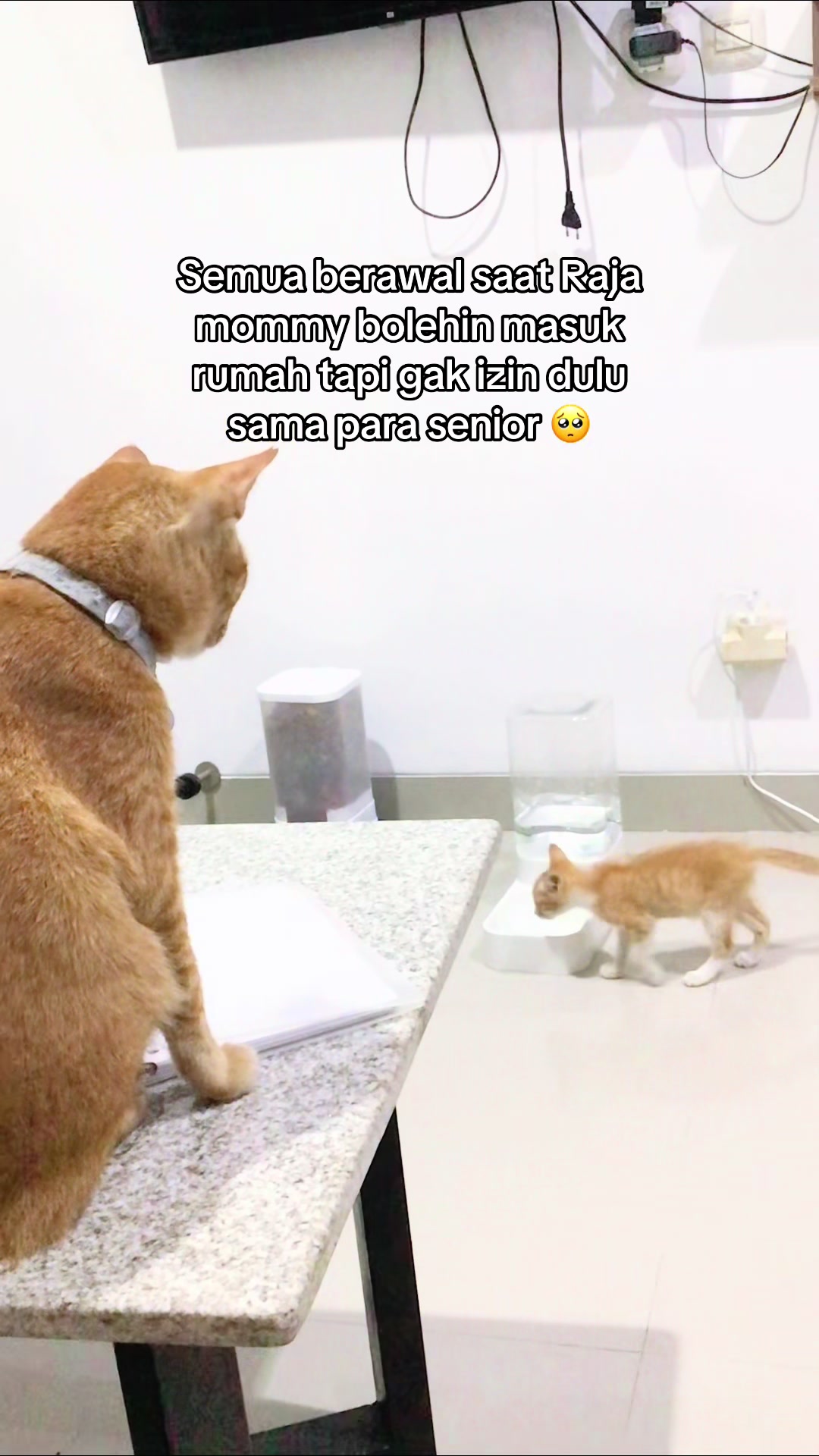 @Mommy, Eyon & Oyenz