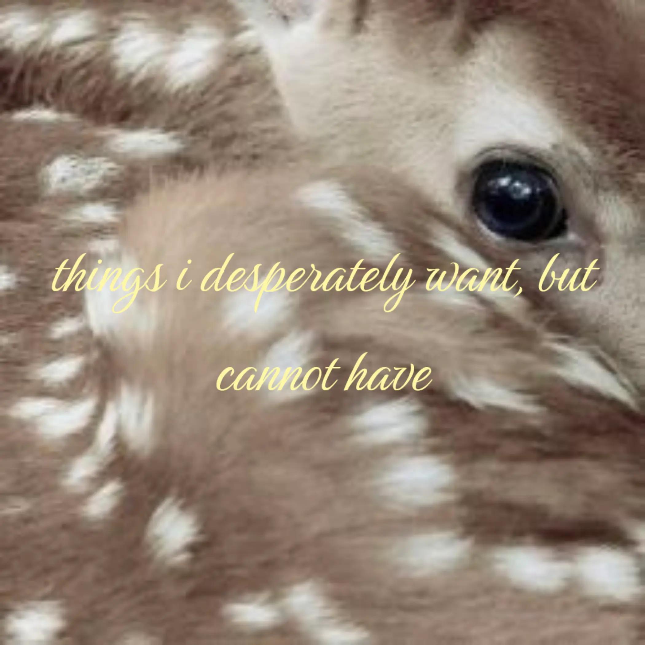 @𓊆🦌𝐈𝐯𝐲𓏲ּ𝄢𓊇