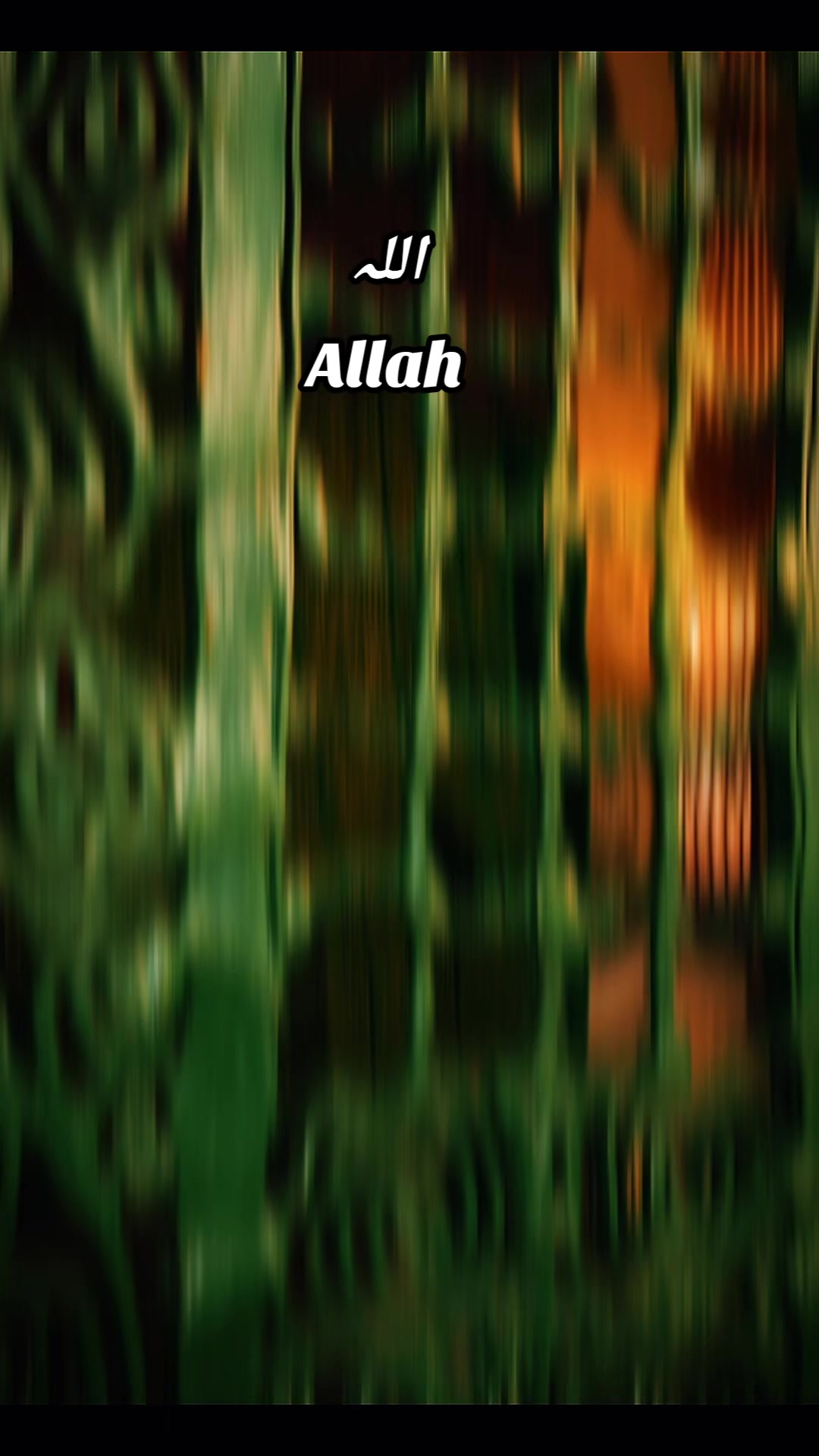 @⃝🕊️ོم̸ـ̸ـ̸قد̸س̸🪶⃝ོ☑️