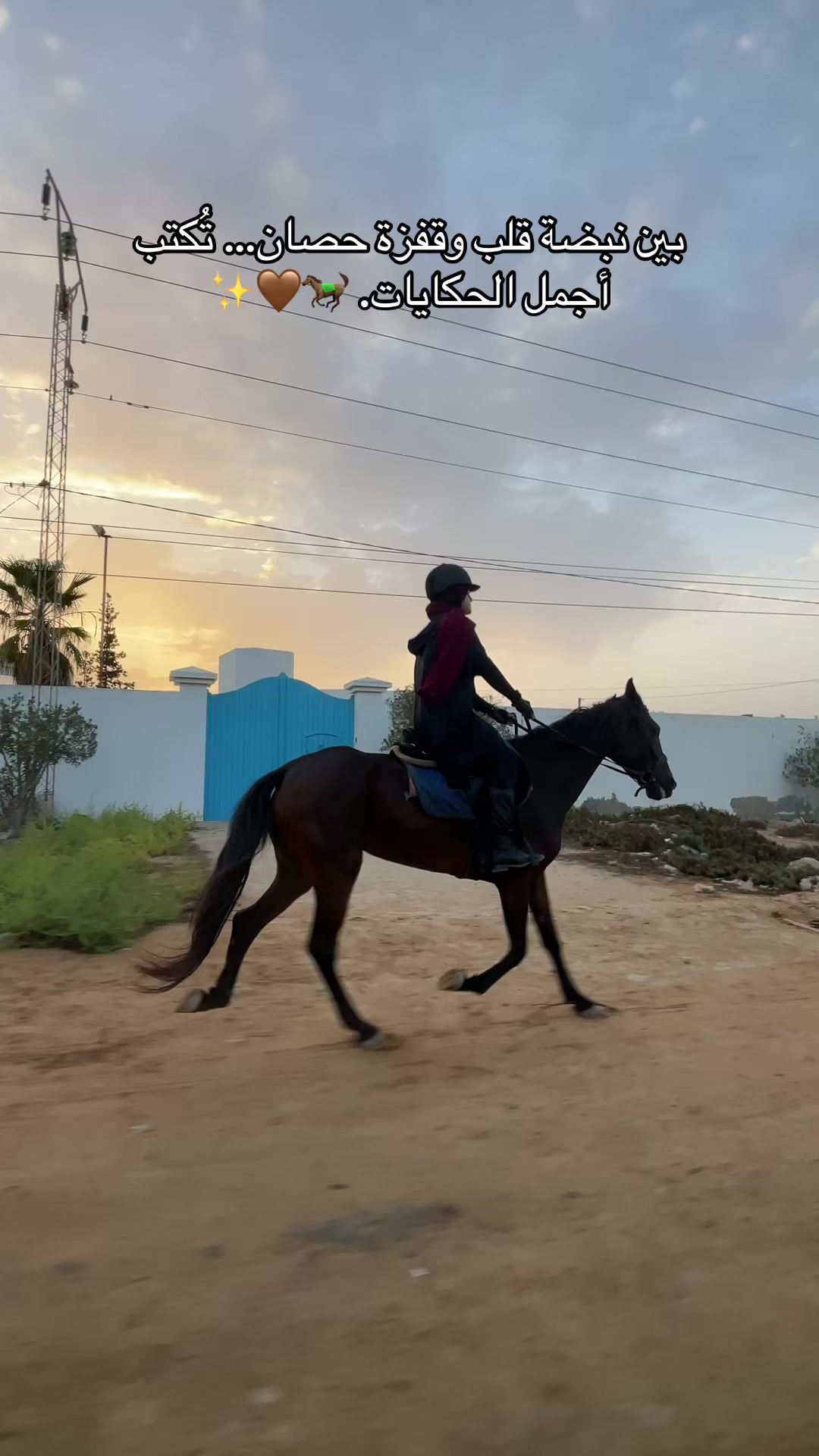 @Feres Ben Amor 🏇
