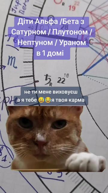 @Відьма_Цілитель_NestyArt🌛🌝🌜