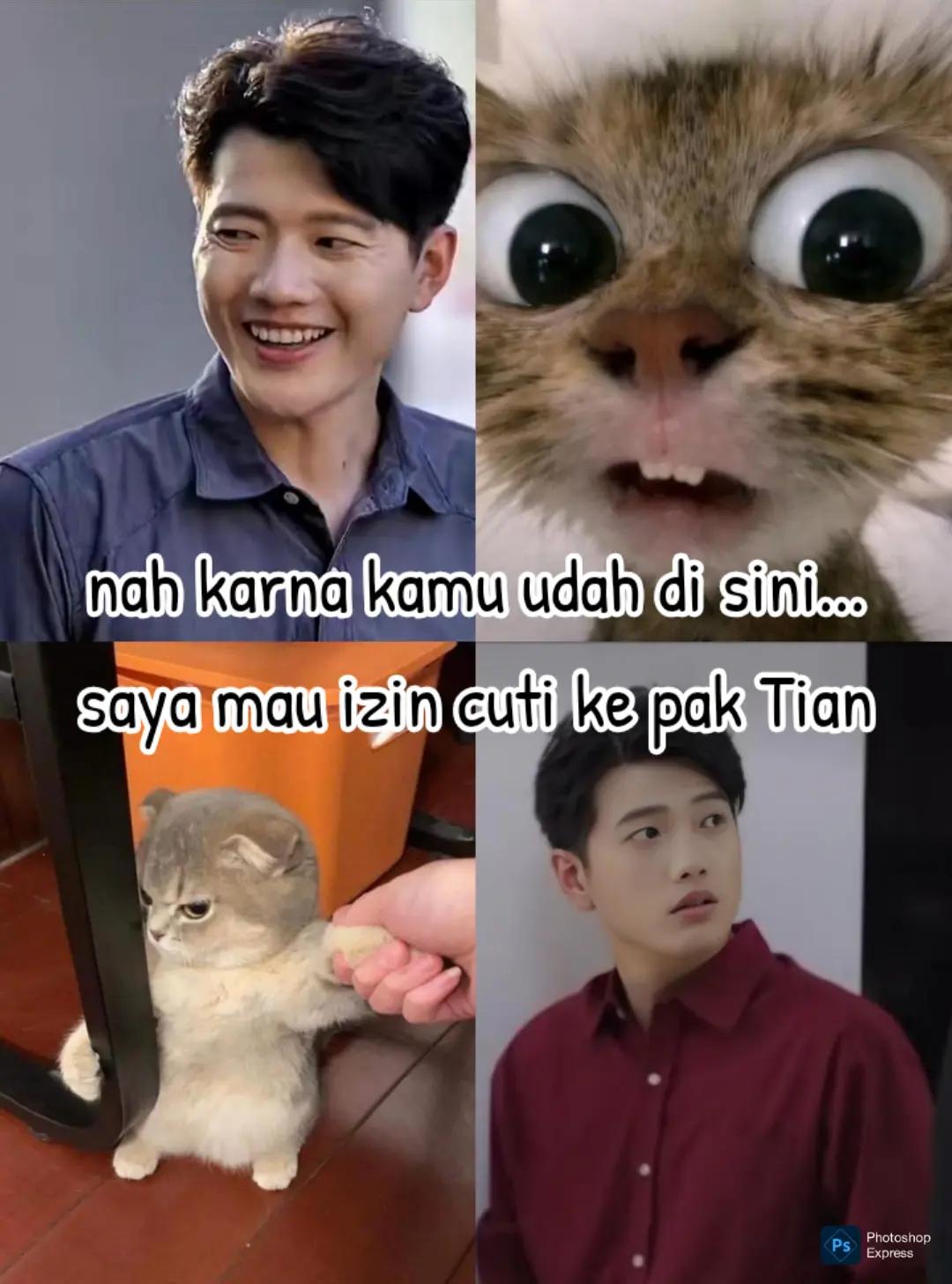 @CCWEI