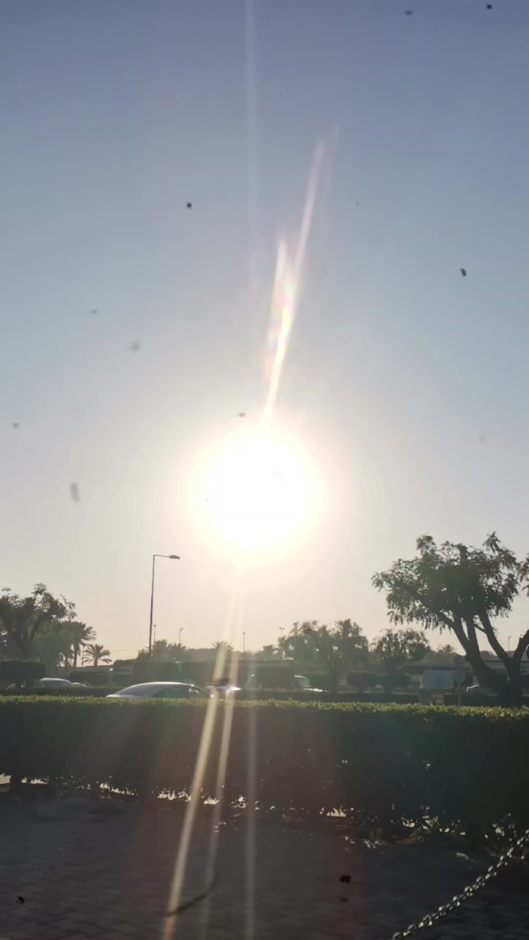 @໑₊ ˚✧⻓𝒶𝚛𝐞𝓷꒷꒦‧₊˚