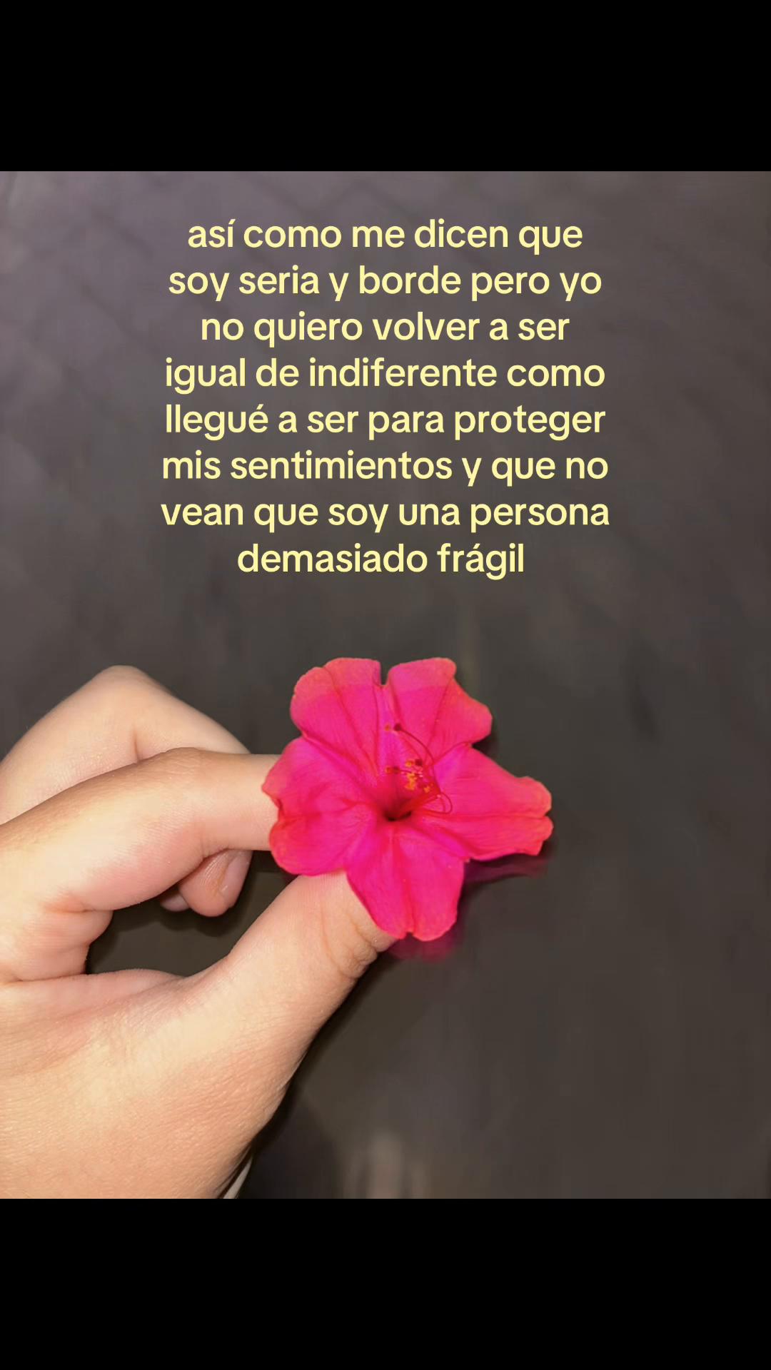@noseee._6