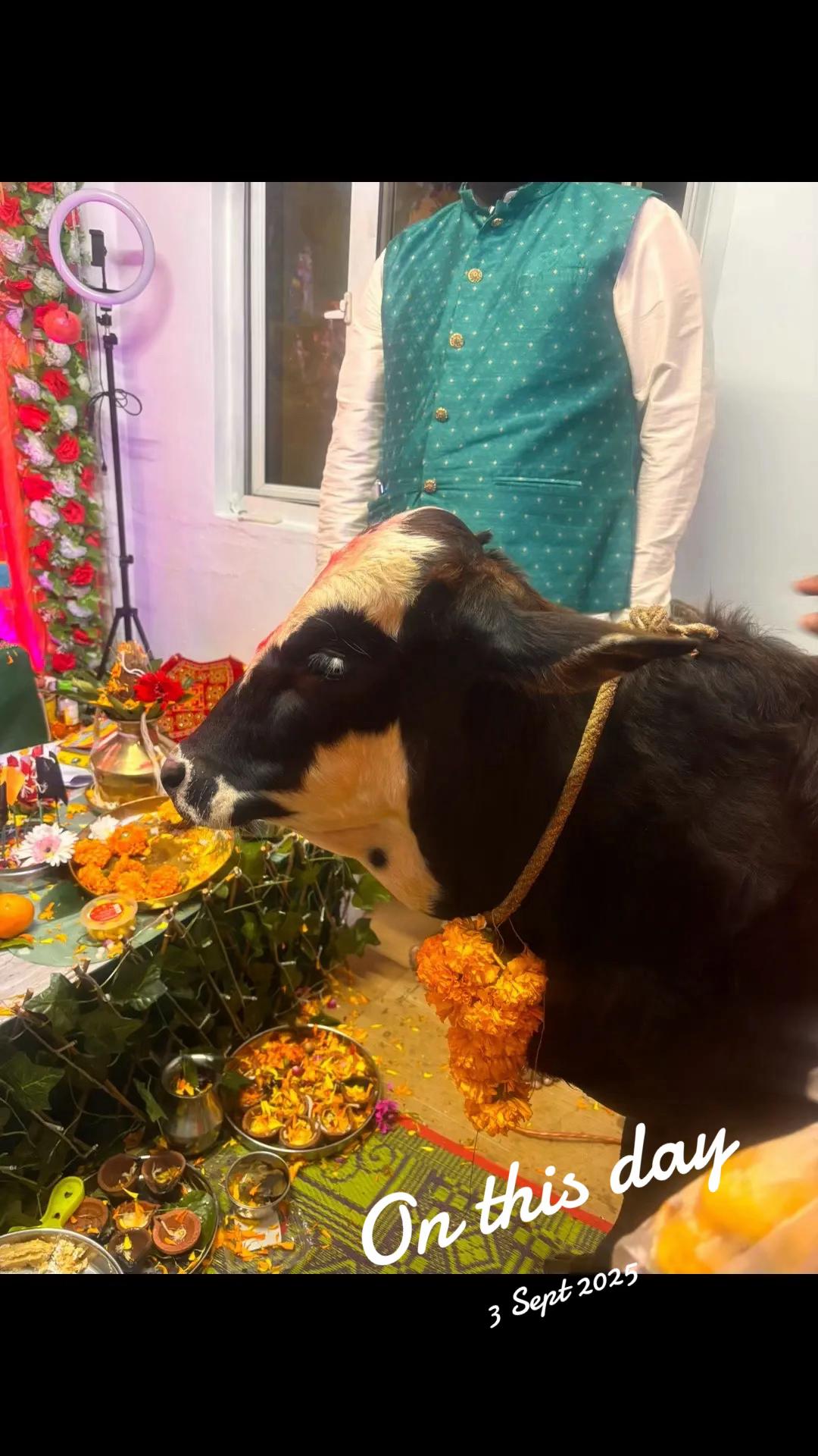 @Ayush🕉️✡️🇮🇳