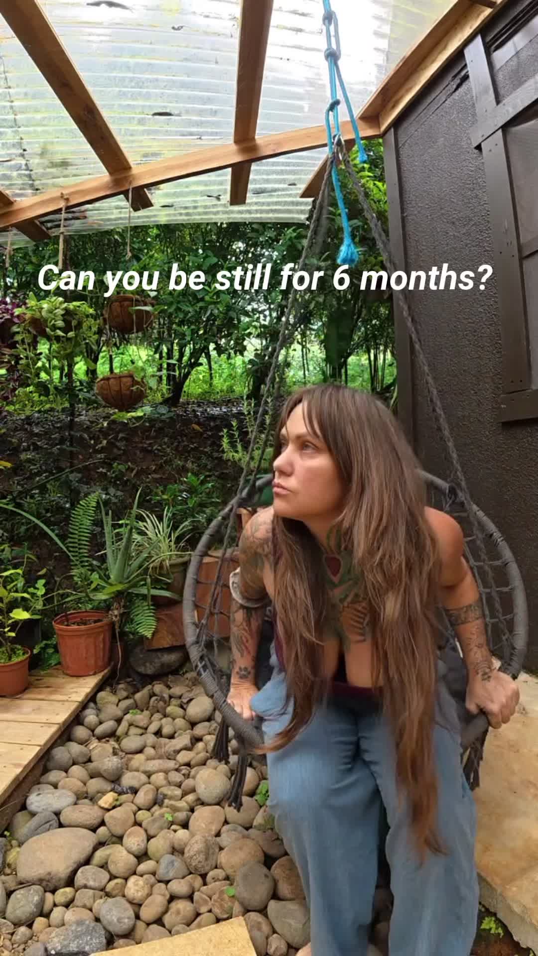 @Chel
