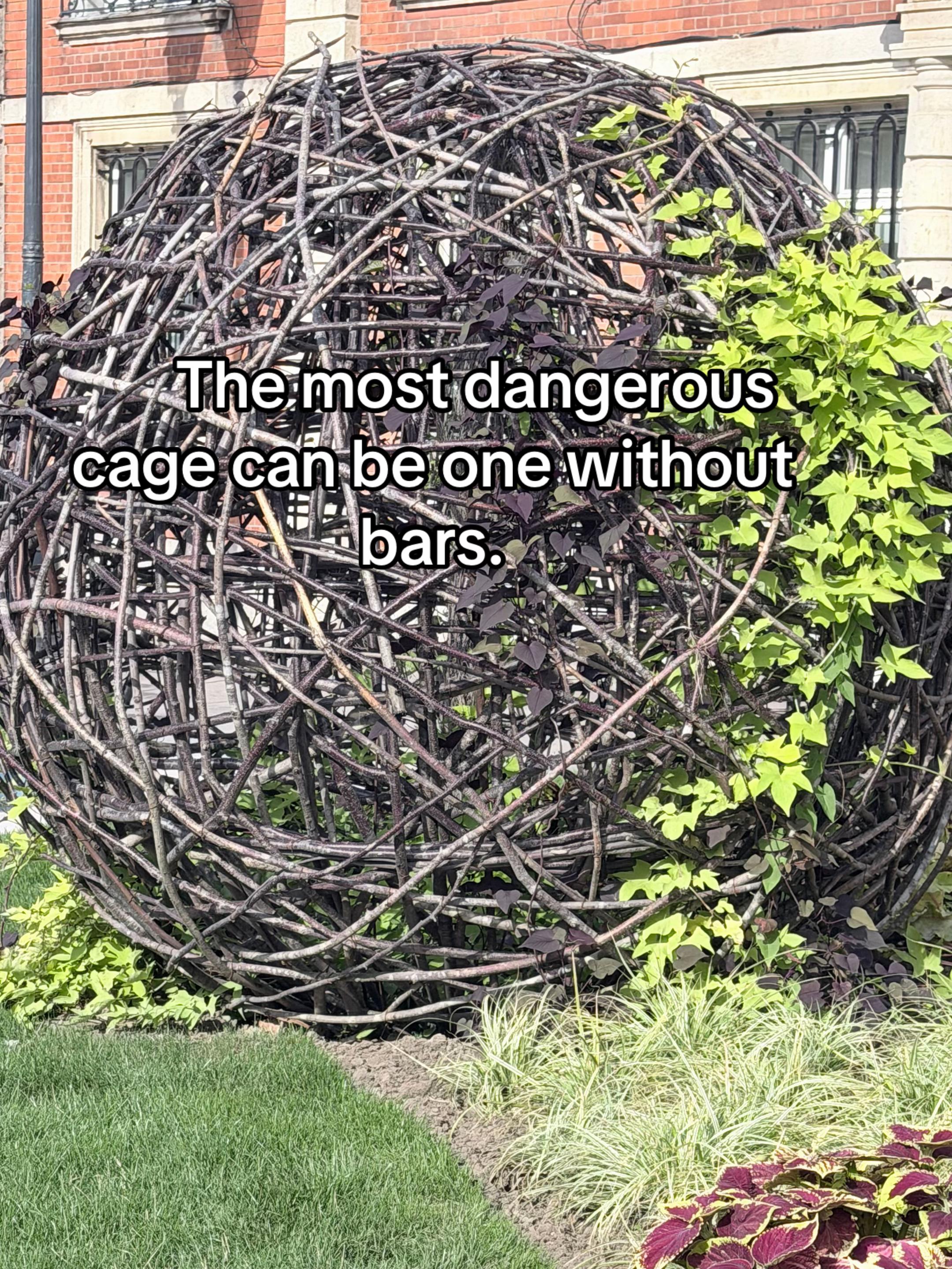 @alpsychotherapist