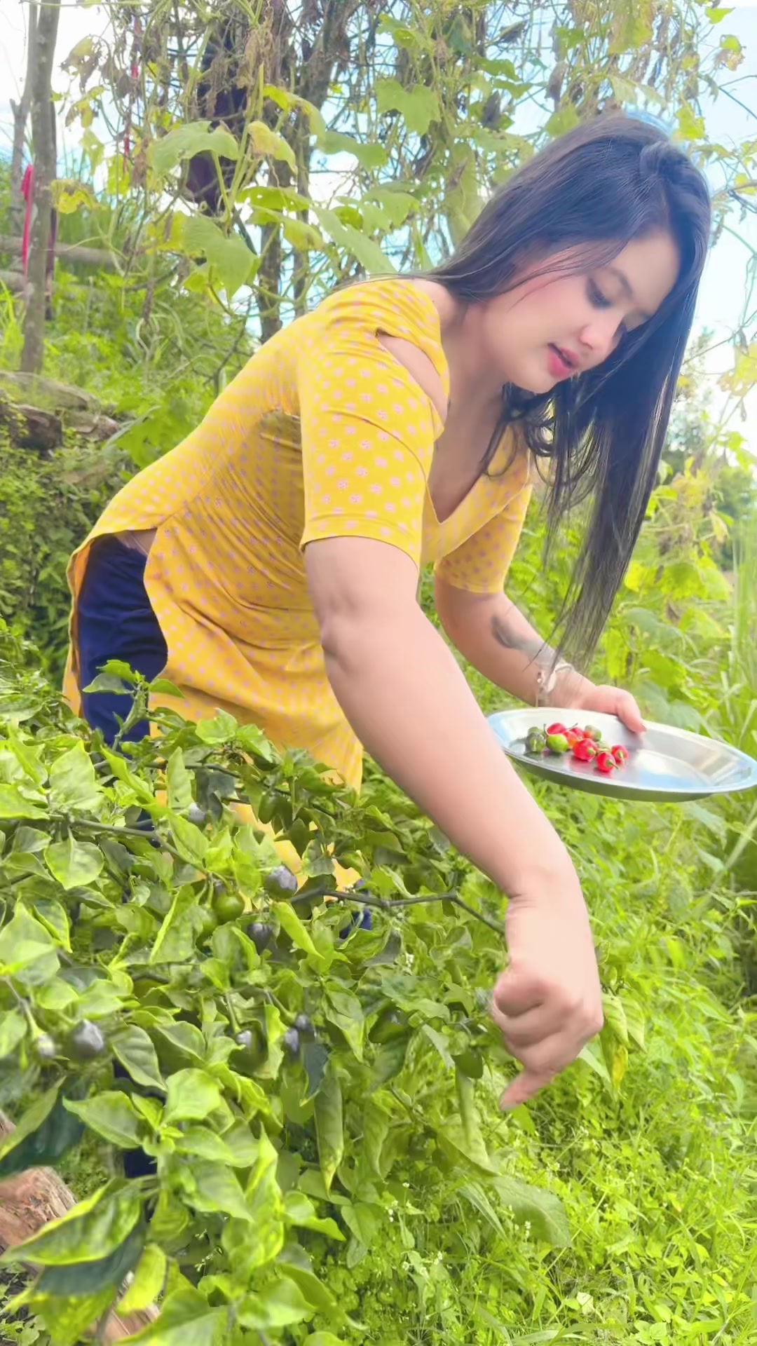 @Riya panta🦋