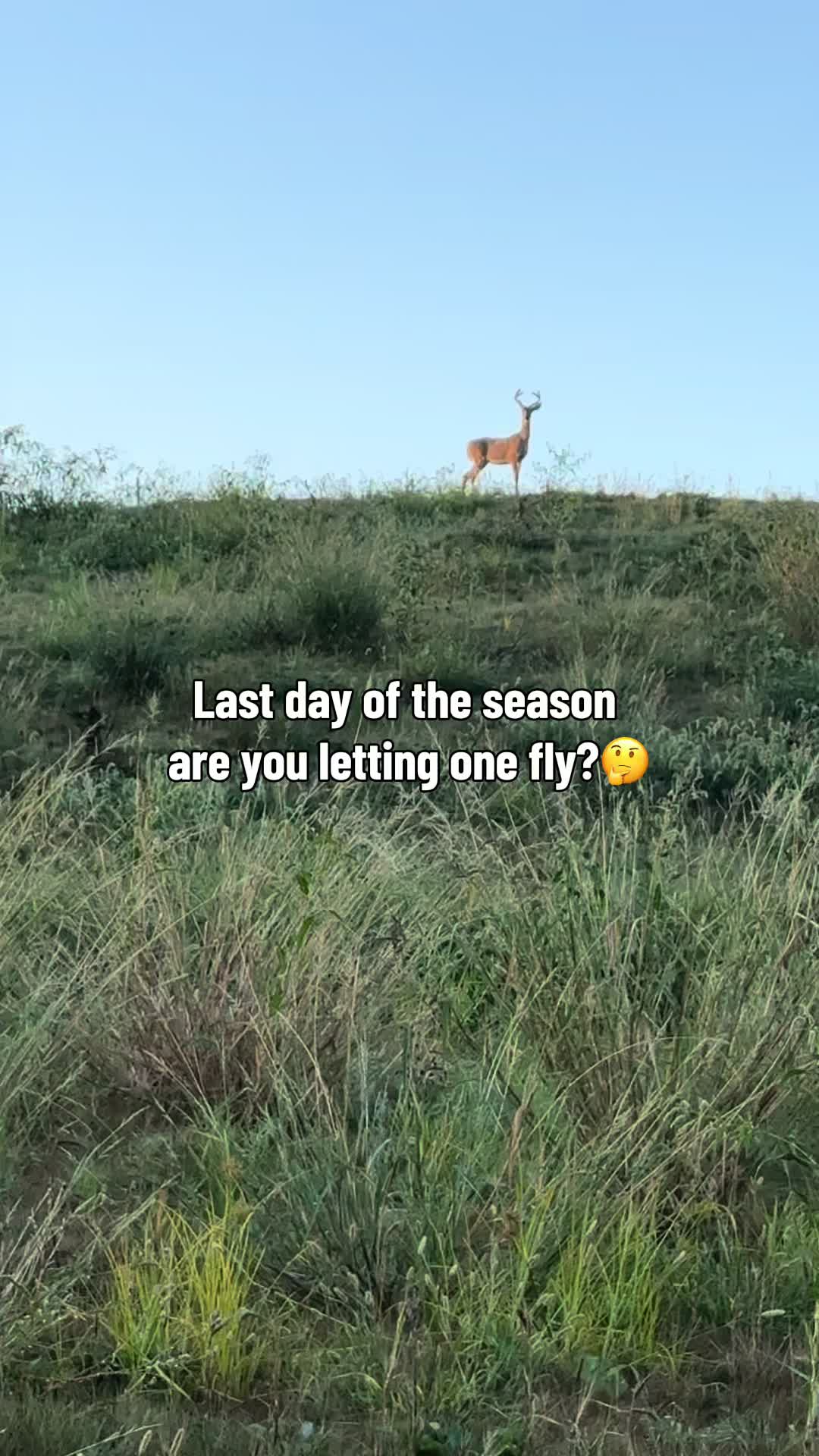 @Mellott Outdoors