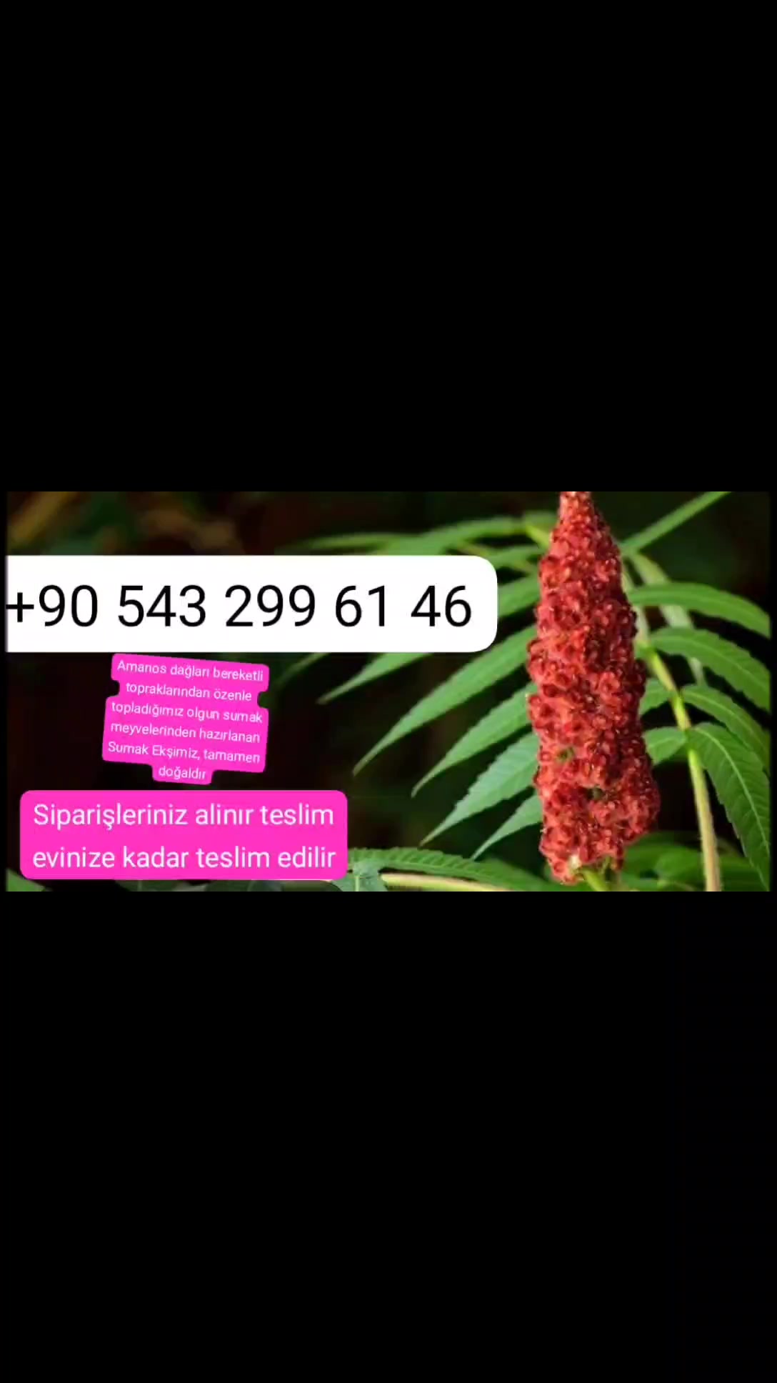 @Mustafamecidiye80