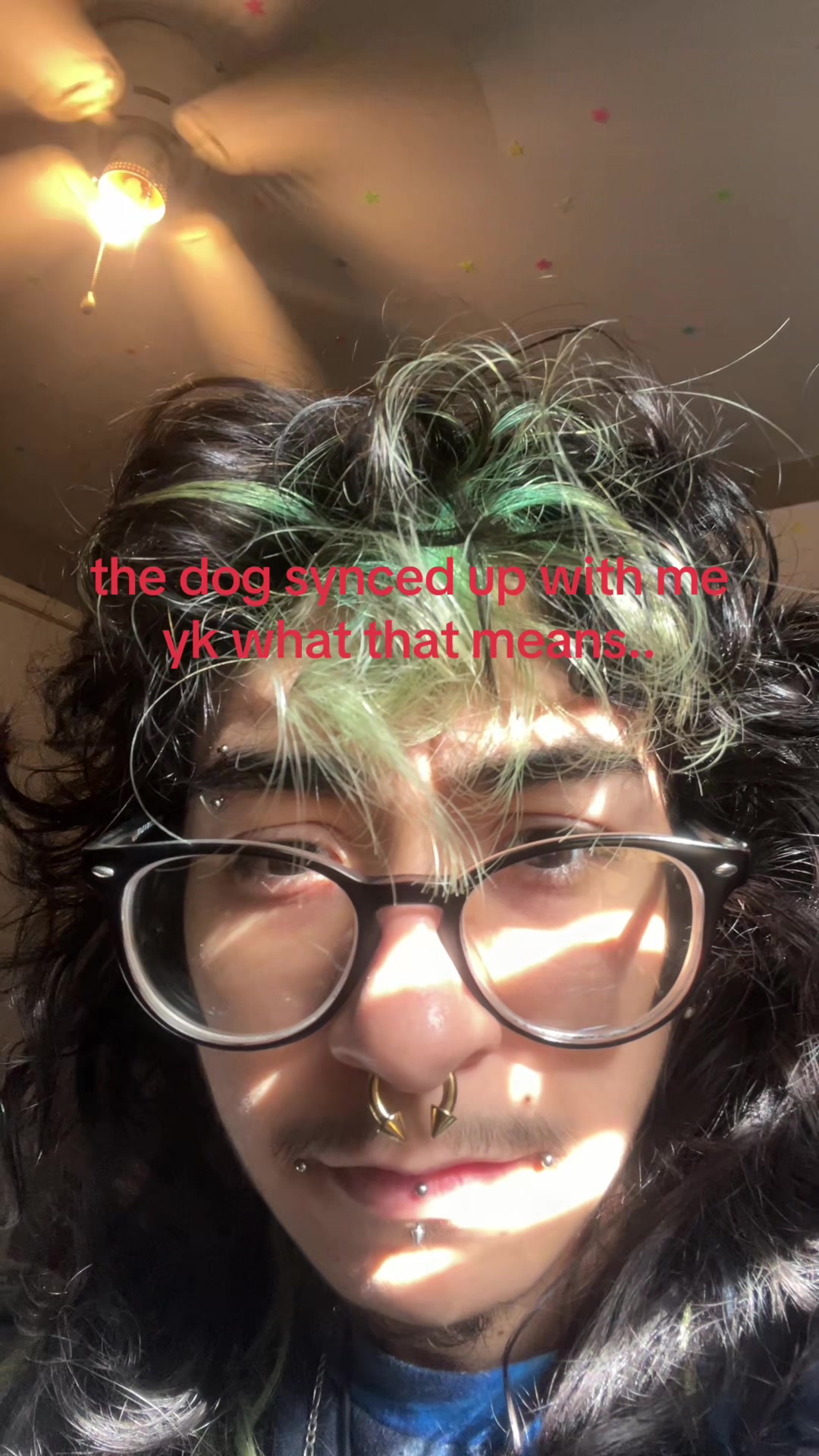 @anselll