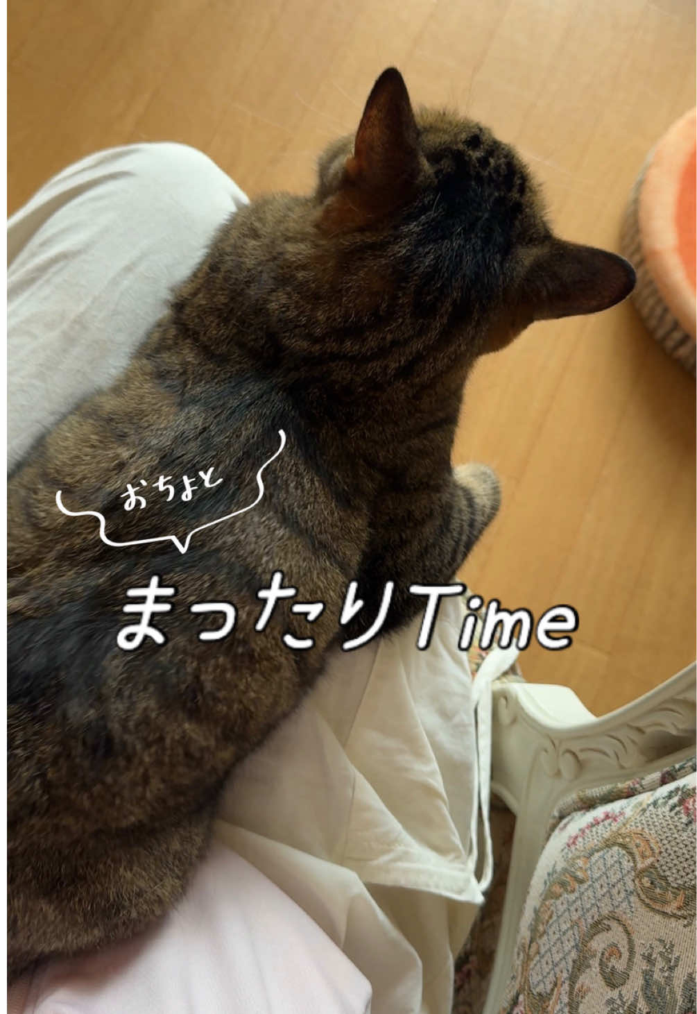 @さっことおちょ
