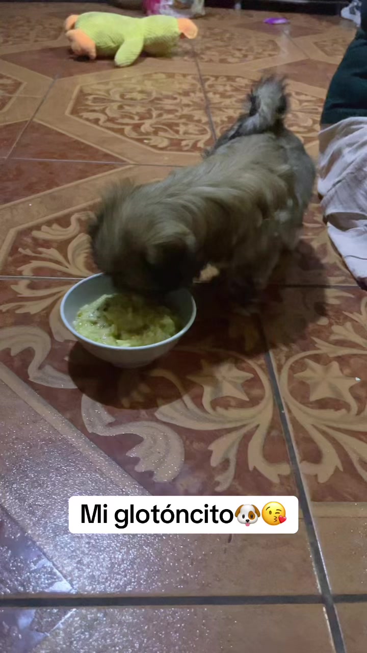 @🐶HILDA Y BERRY EL ALBINITO🐶