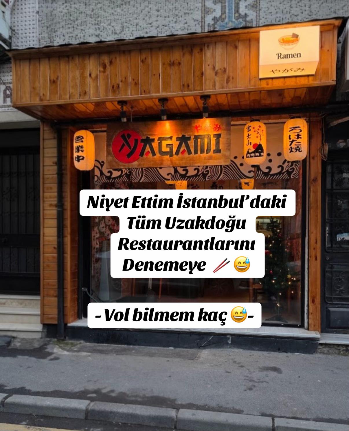 @İstanbul Kedisi
