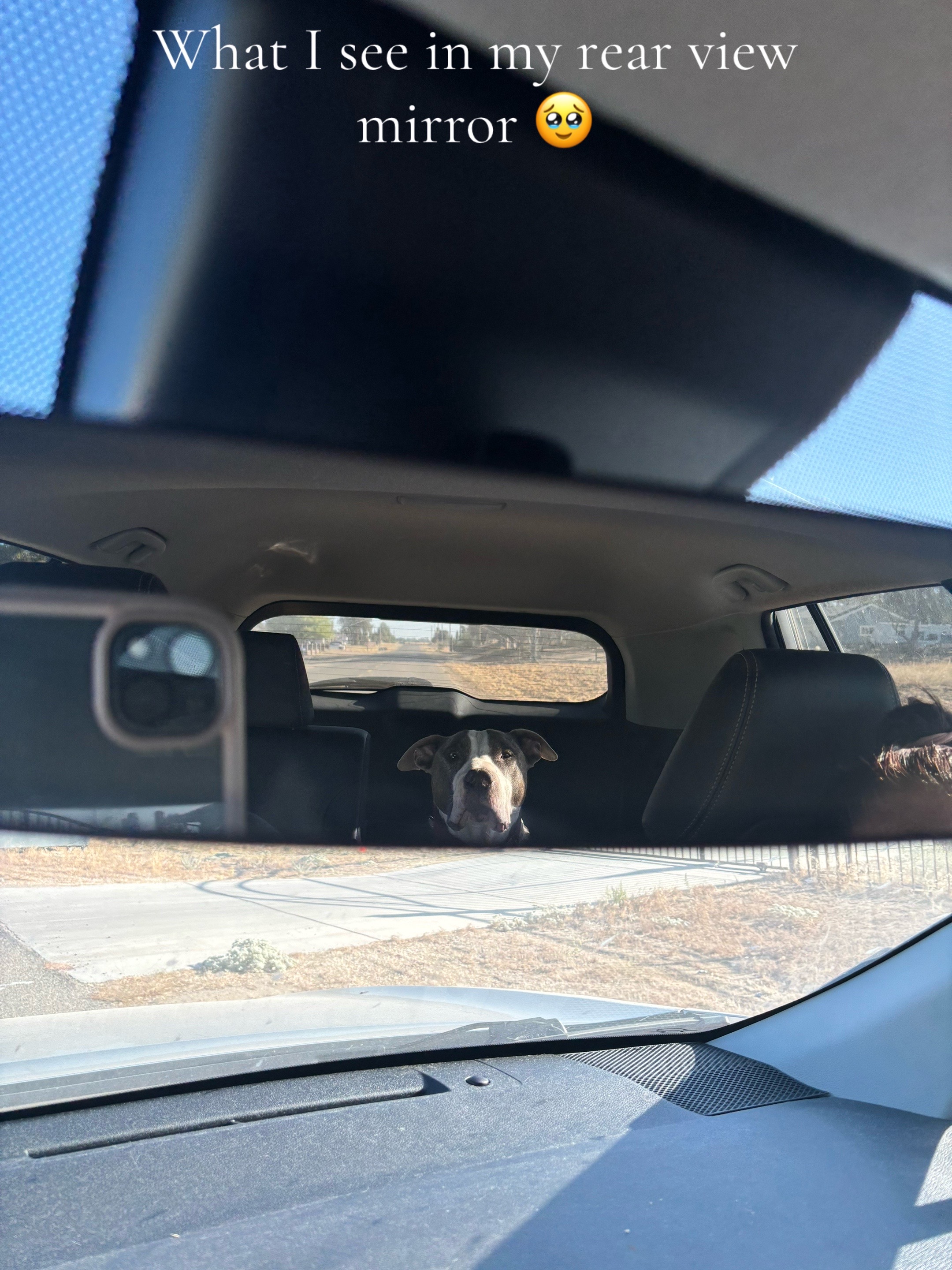 @caponethepitty
