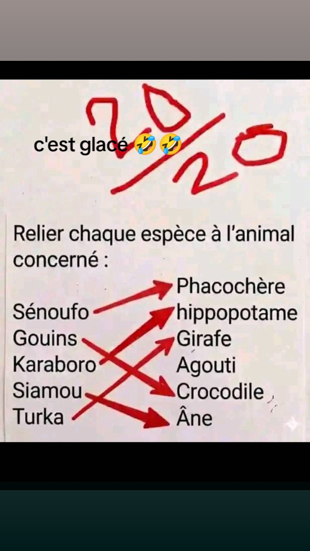 @sib sie Lazare 1er