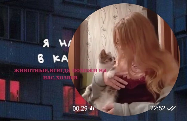 @#veronishаа_mopsao.🤓&ndash;.&ndash;