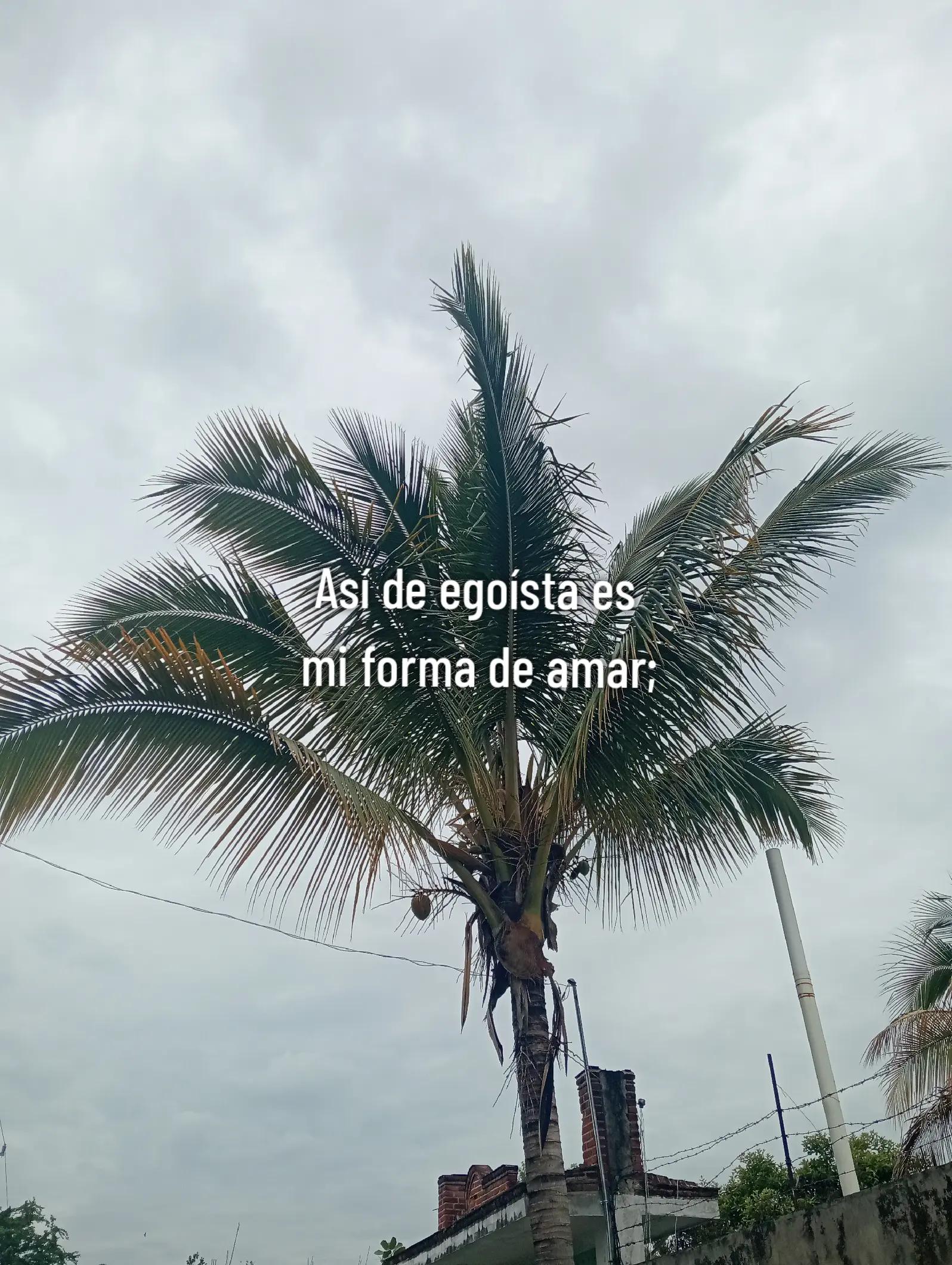 @Rubí 🖤🇲🇽