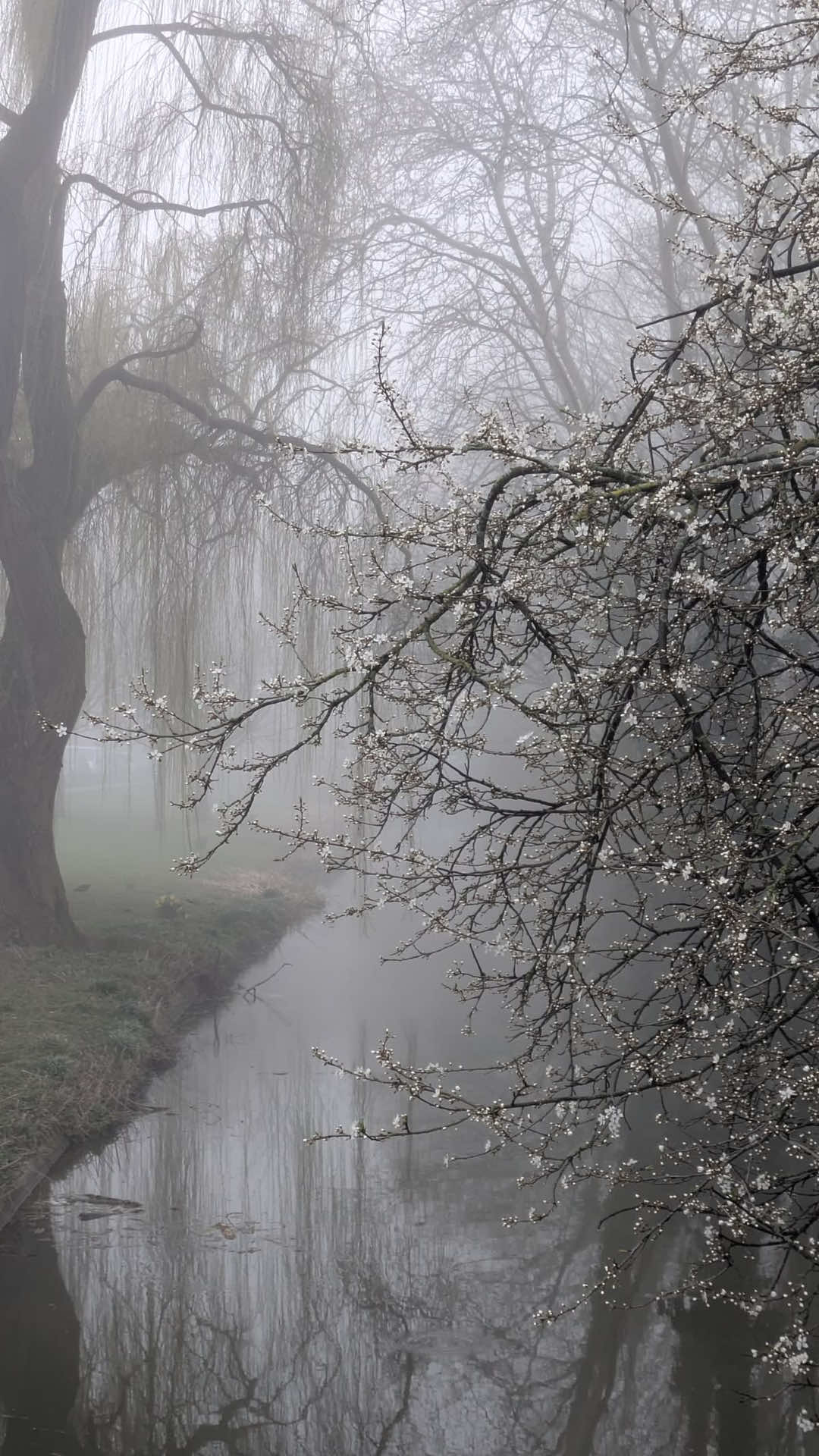@✦ ᥲ᥎ᥱrᥡ ✦