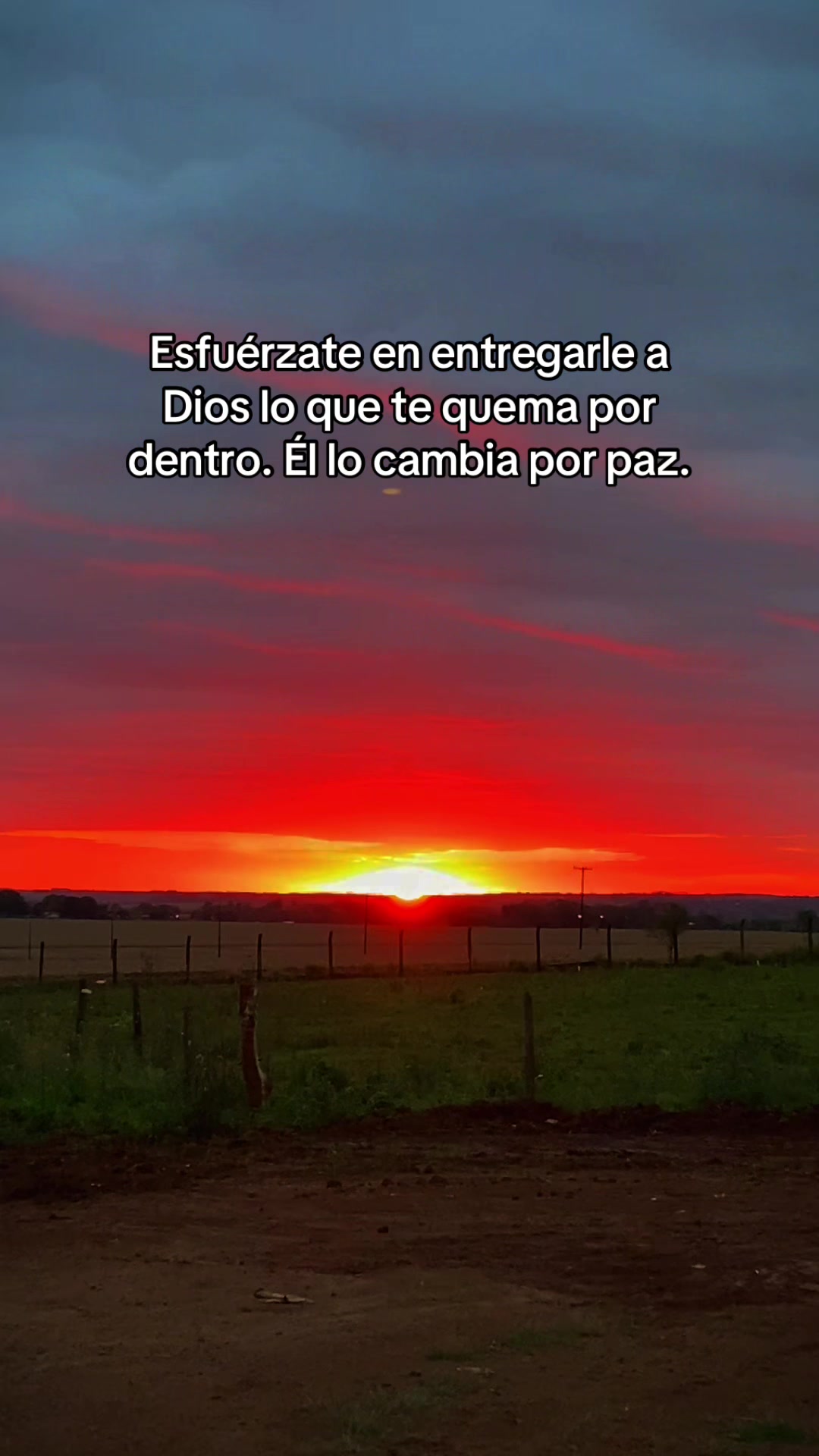 @Javier Rojas Jim&eacute;nez