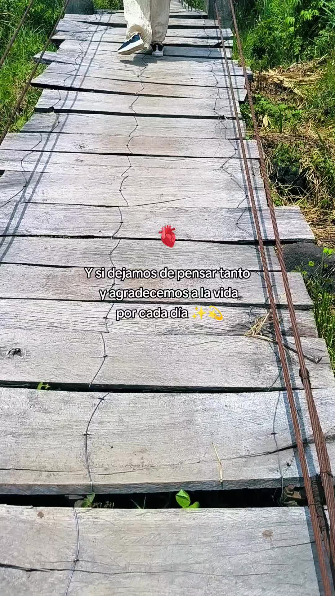 @Estela 🪐🦋✨☘️🪴