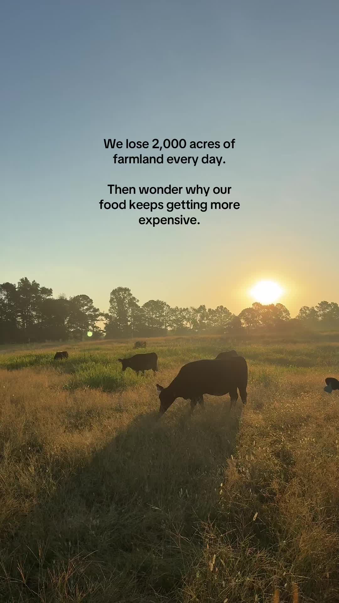 @Lily Hill Farm