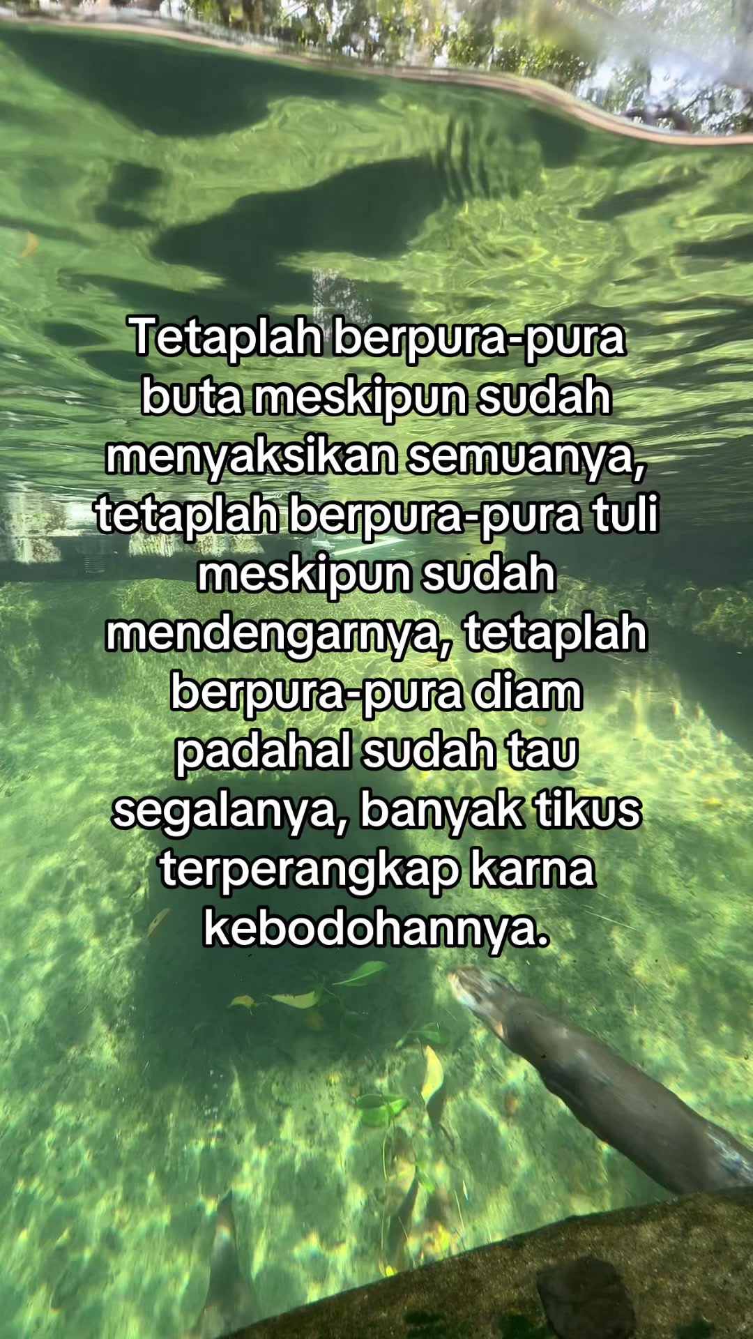 @DIAH