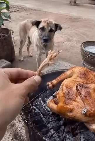 @jaimerosas73