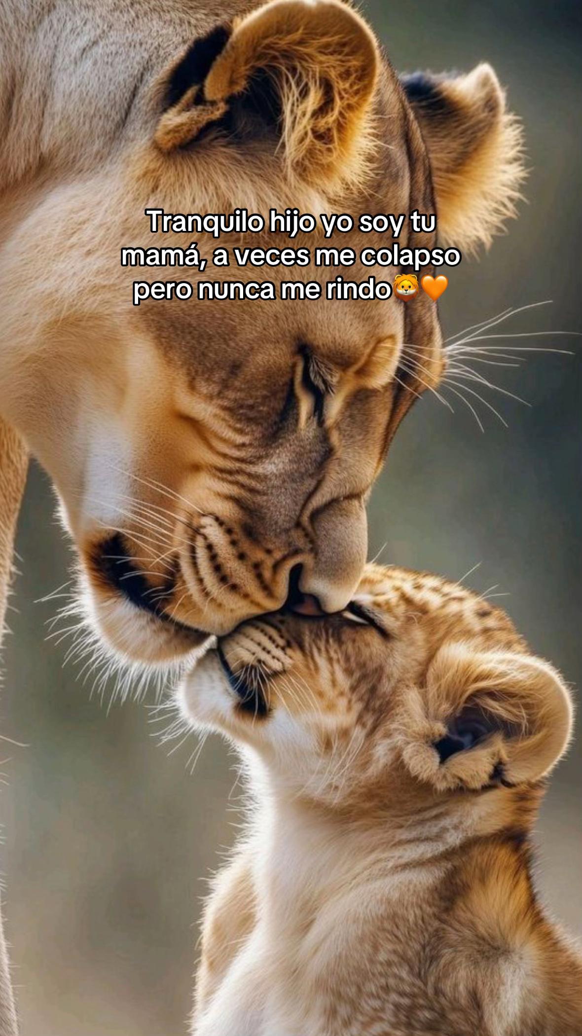@Tizi&Santi