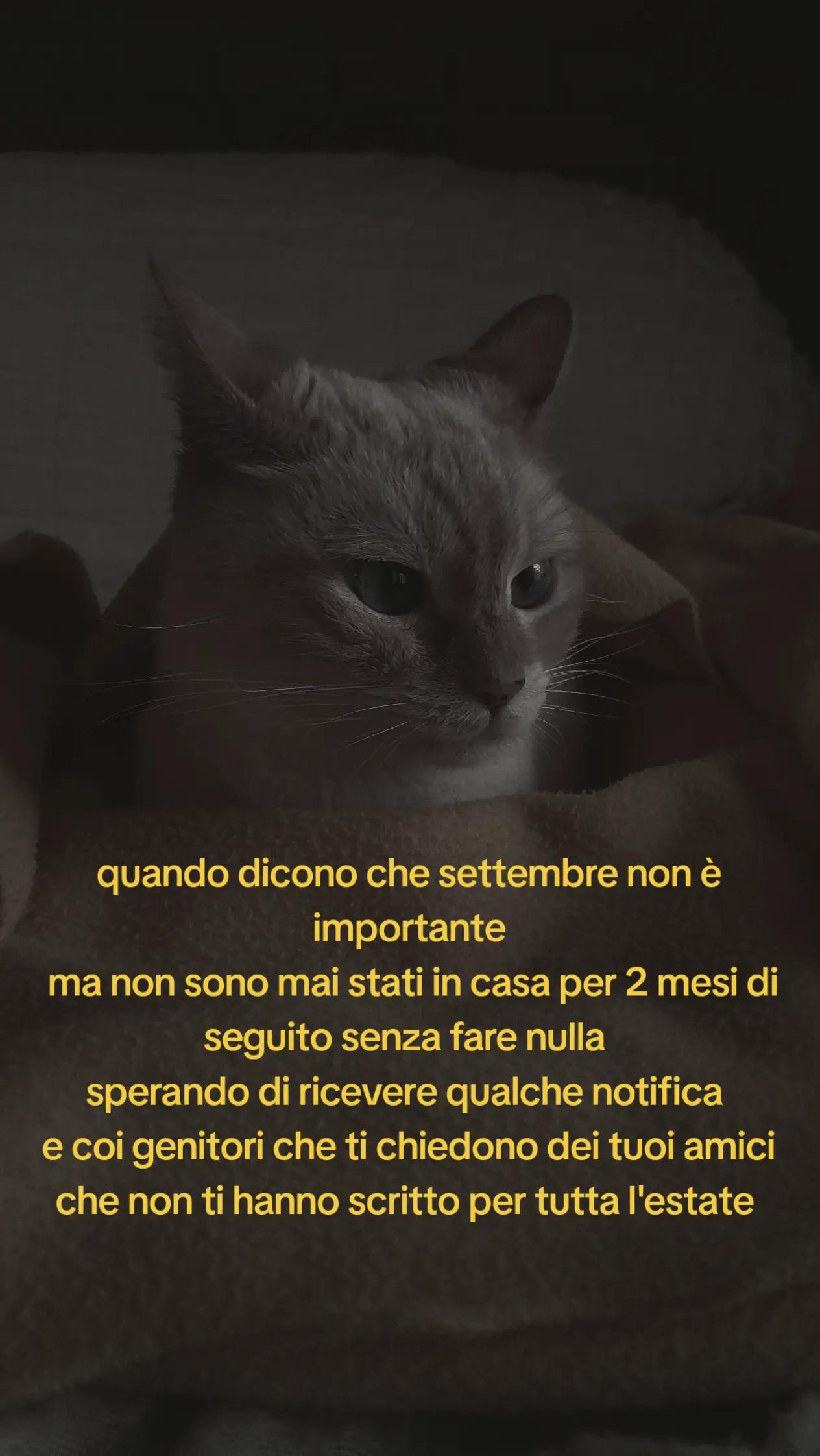 @shadowvibe
