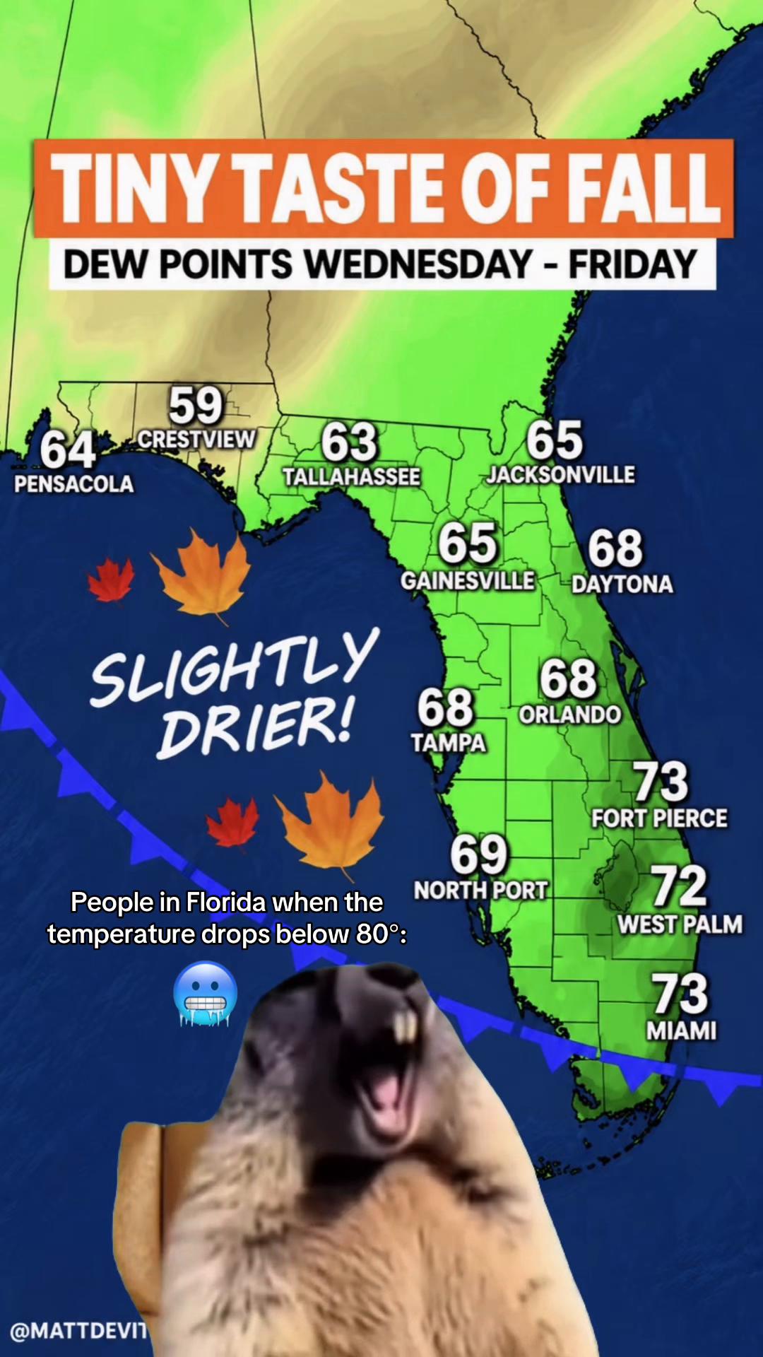 @floridanpc305
