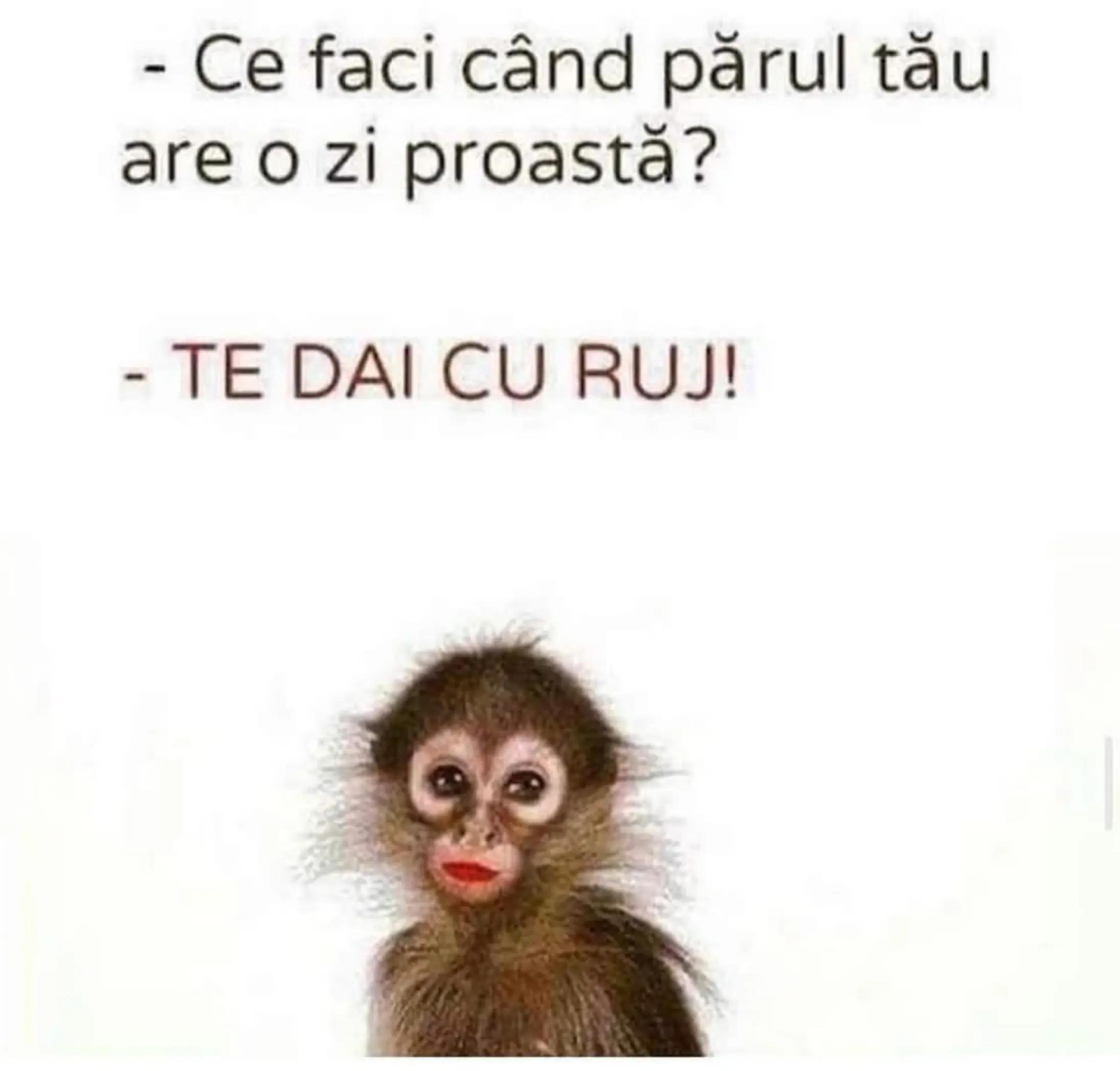 @Cristina