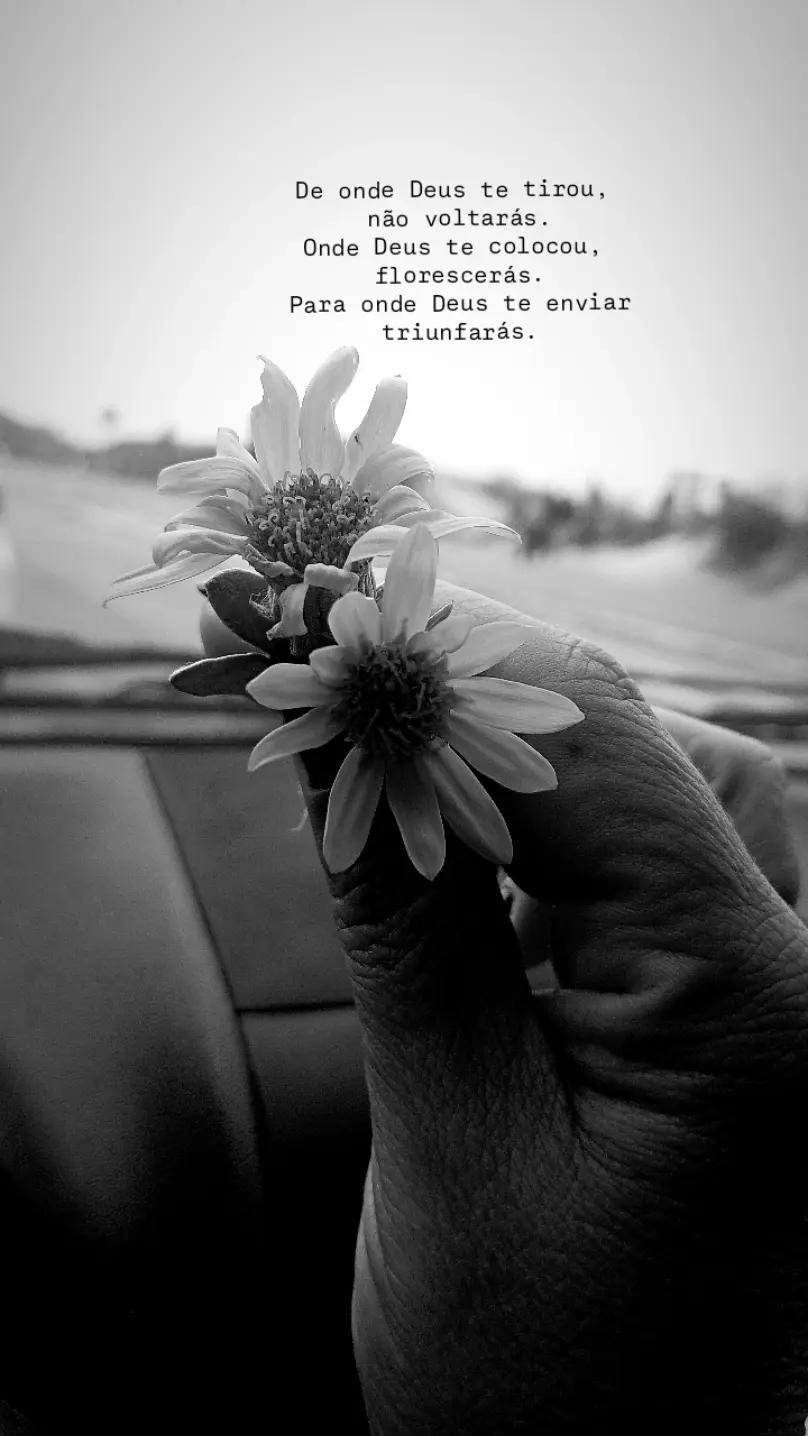 @Giovana Duarte✨