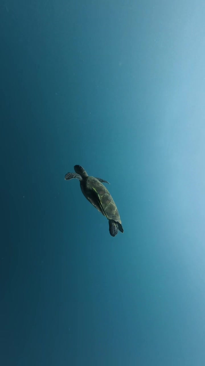 @fishandkits