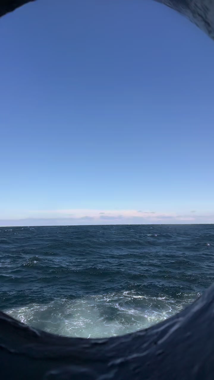 @Barış
