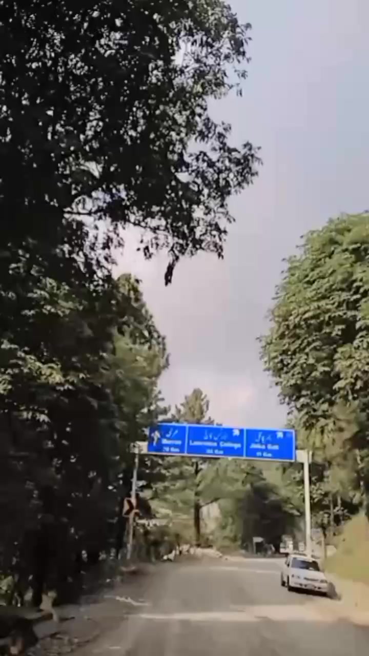 @𝐆𝐨𝐥𝐝 𝐌𝐚𝐟𝐢𝐚