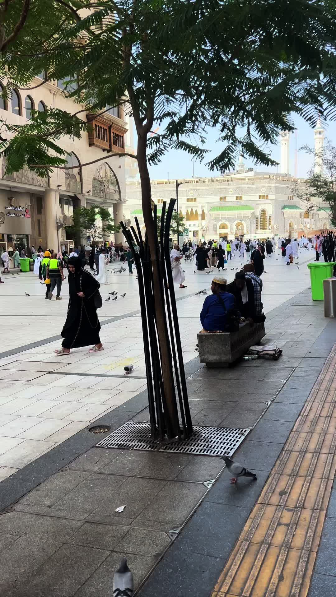 @Haramain sharifain