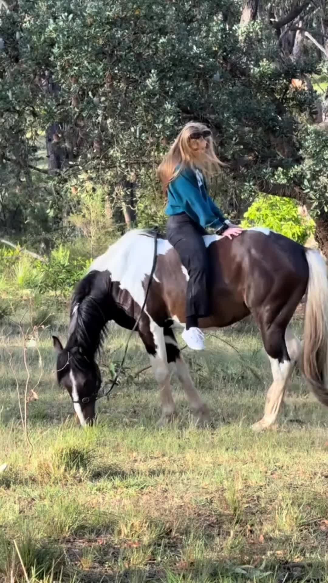 @عالم القصص