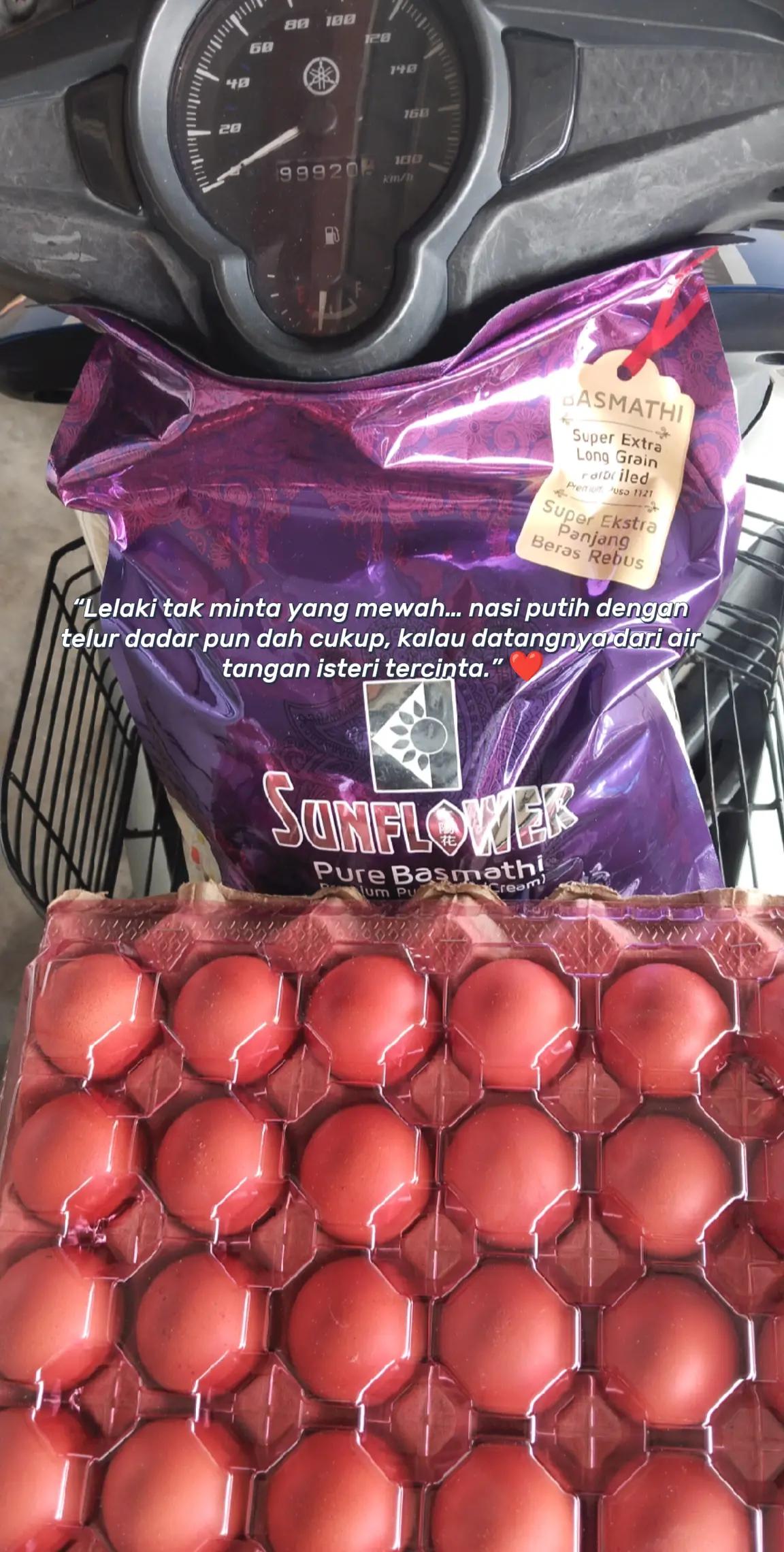 @MR.Potato