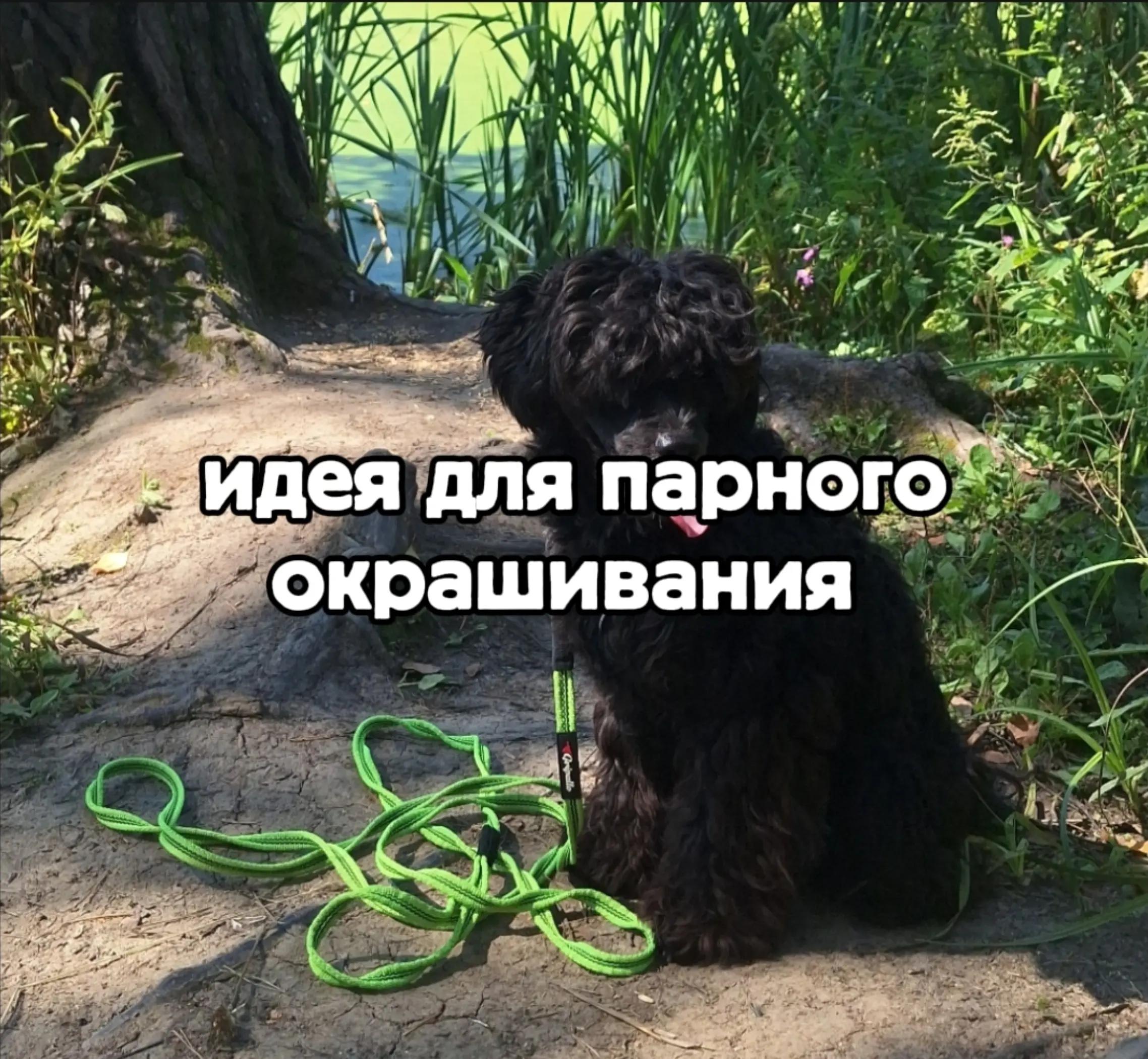 @ⲁⲅⲣⲉⲥⲥ&upsilon;ⲃⲏⲟⲉ ⲱⲁⲃⲗⲟ