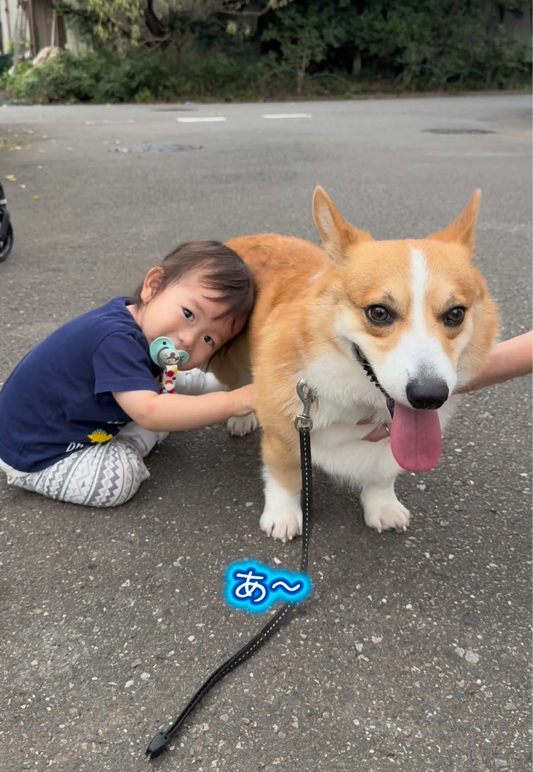 @トロン