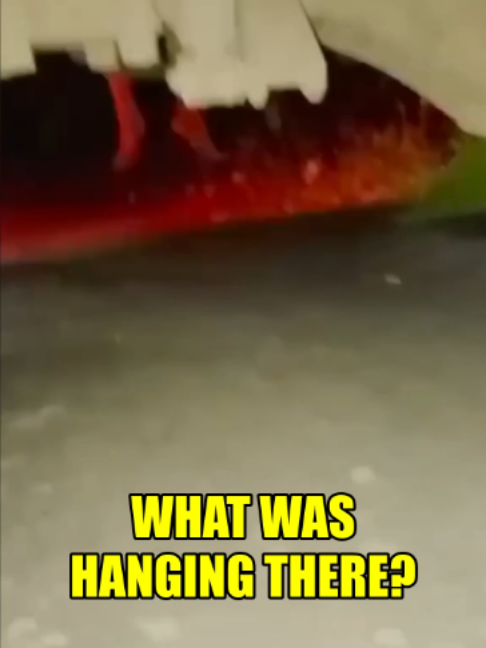 @Slapped Ham