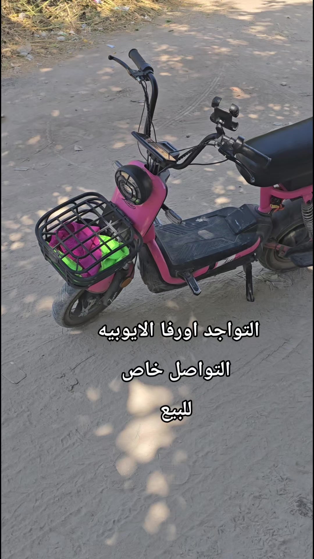 @آلڪلعي 🗞️🤎