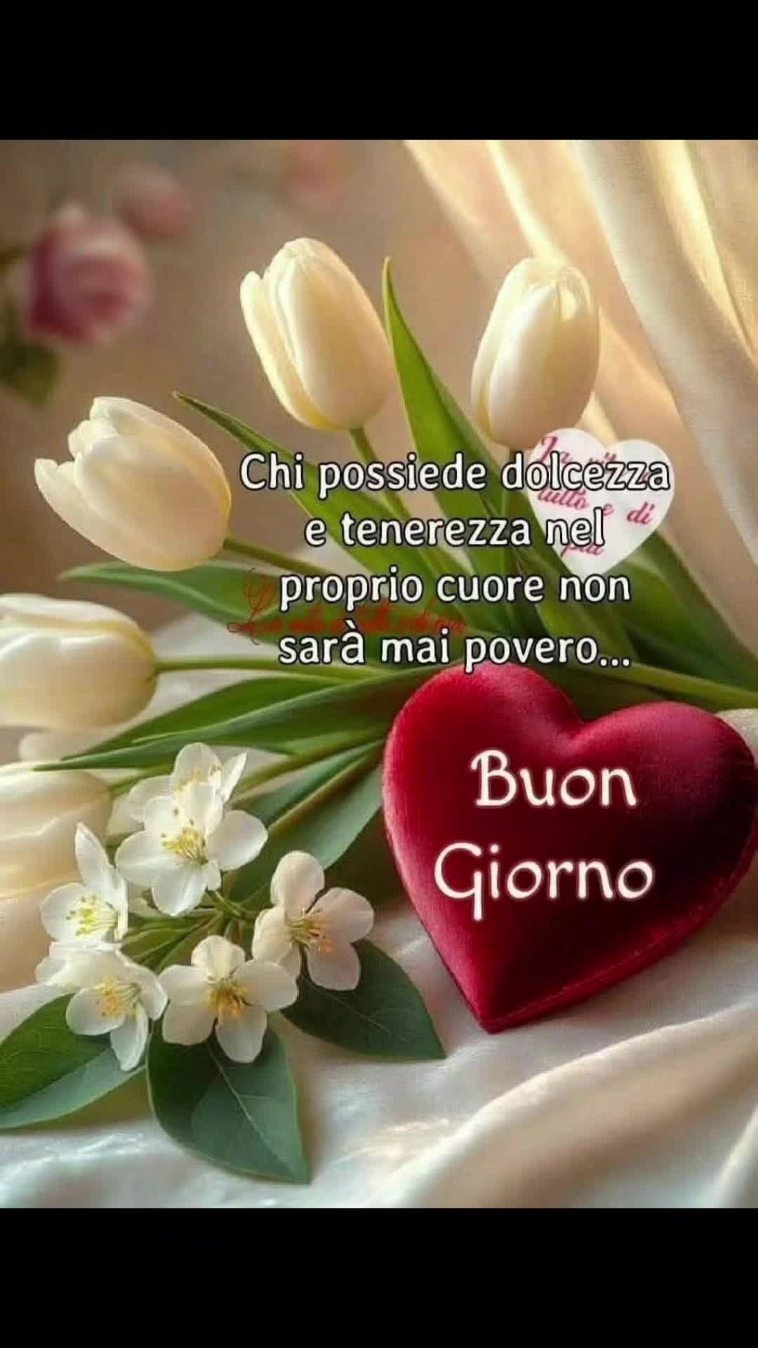 @🌞 Fede