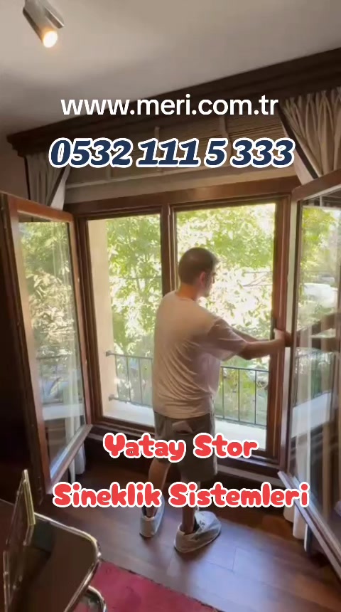 @Meri Sineklik İsmail Kurt